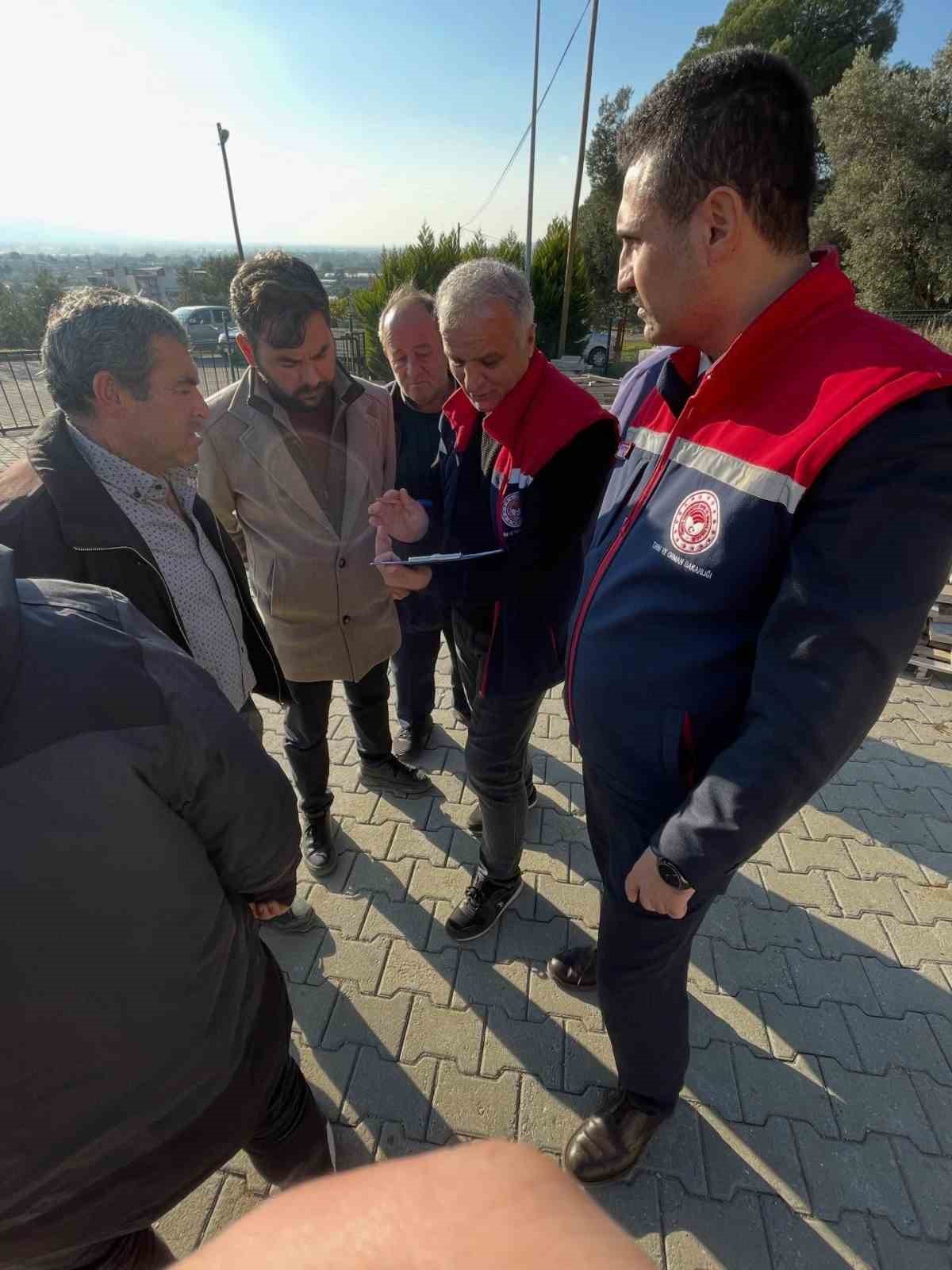 Köşk’te üreticiye tüplü incir fidanı desteği