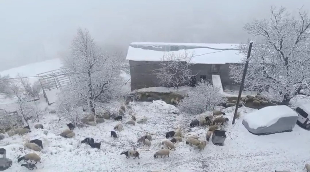 Bahçesaray’da kar yağışı