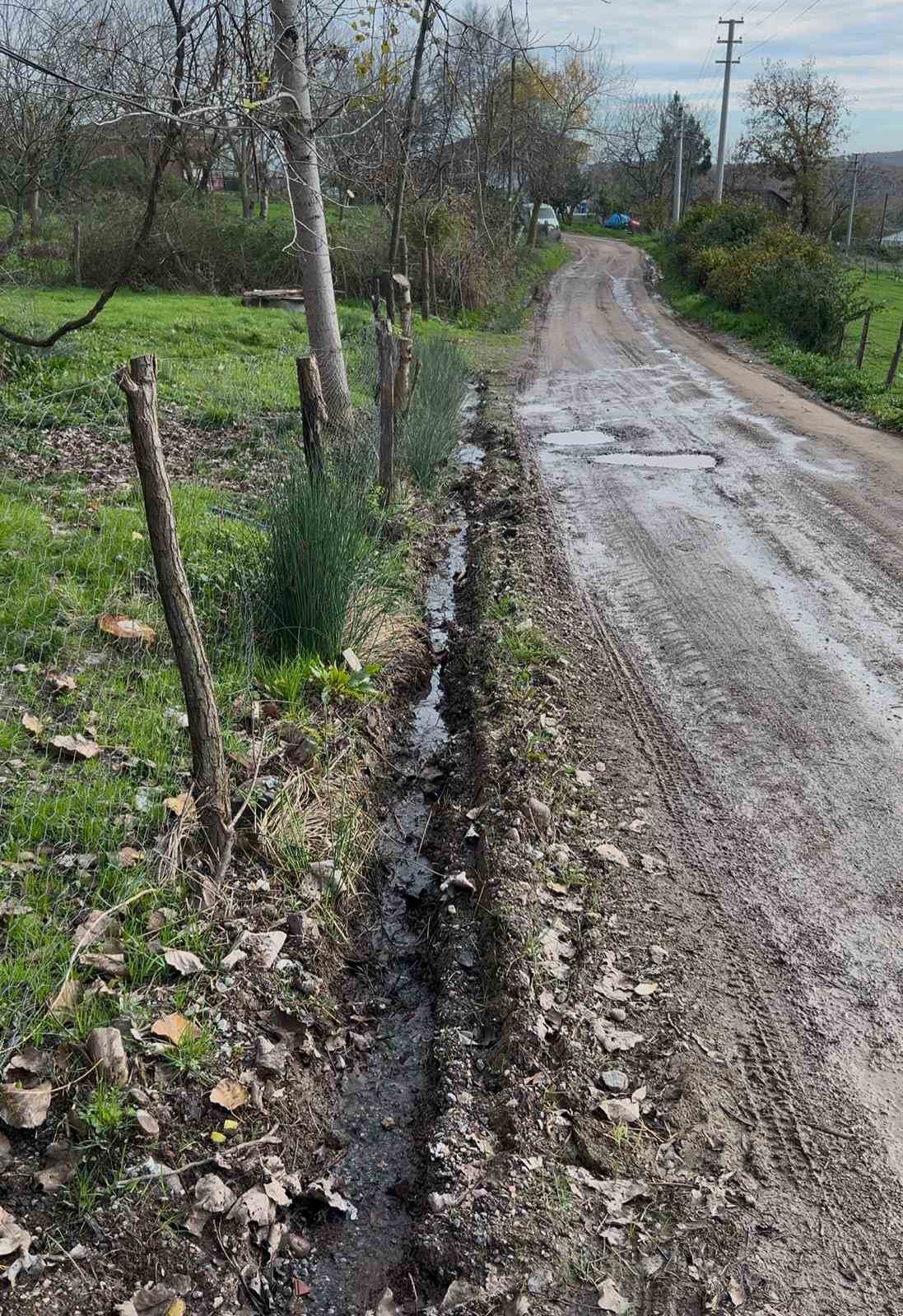 Mahallenin yıllardır süren yol çilesi vatandaşı isyan ettirdi