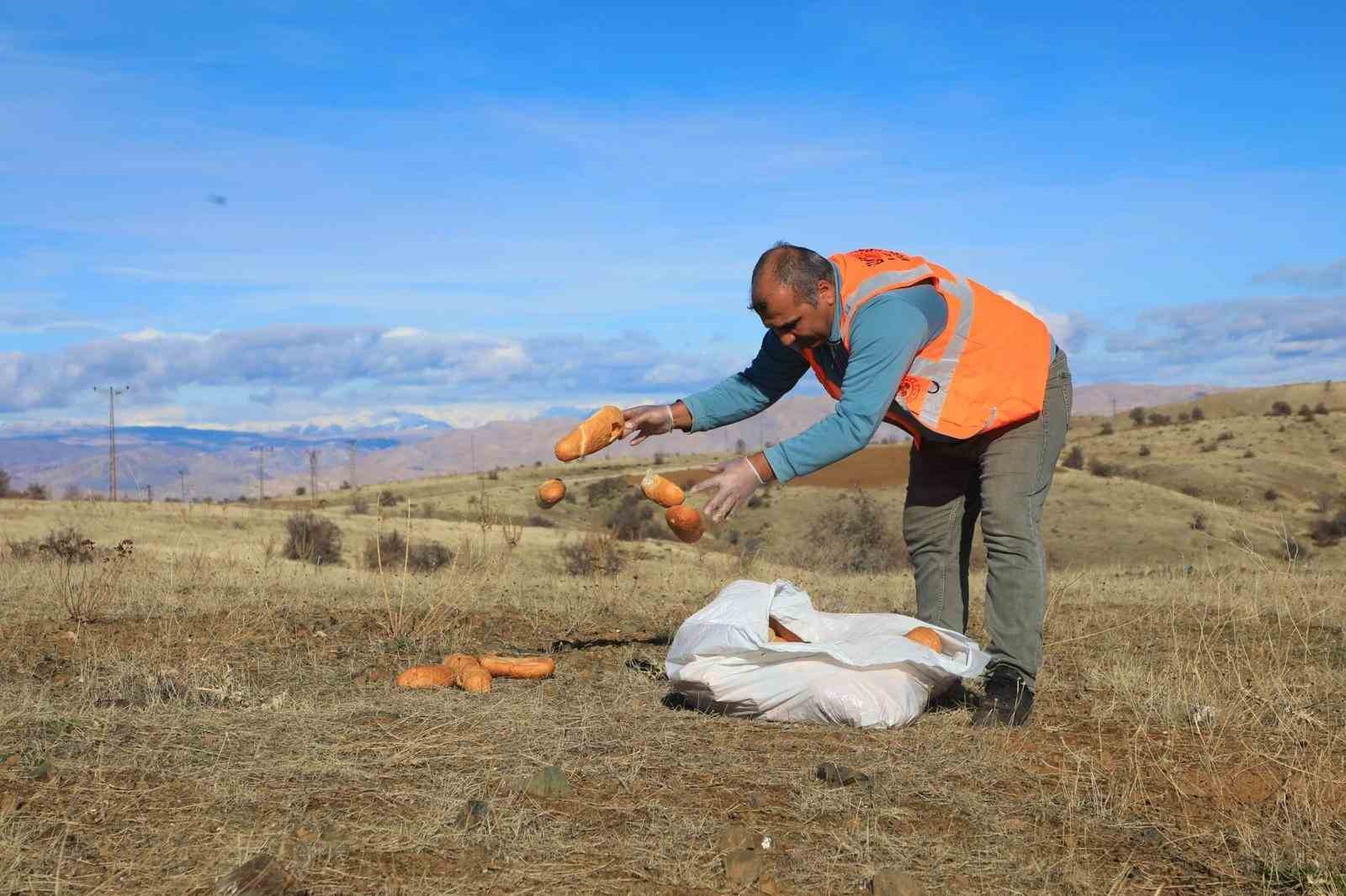 Elaızığ’da doğaya yem bırakıldı