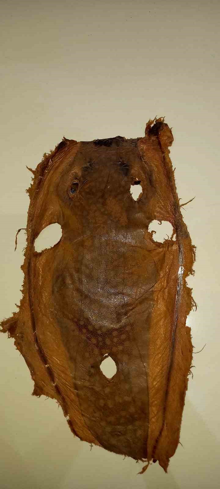 İzinsiz kullanılan Balon balığı projesi mahkemelik oldu