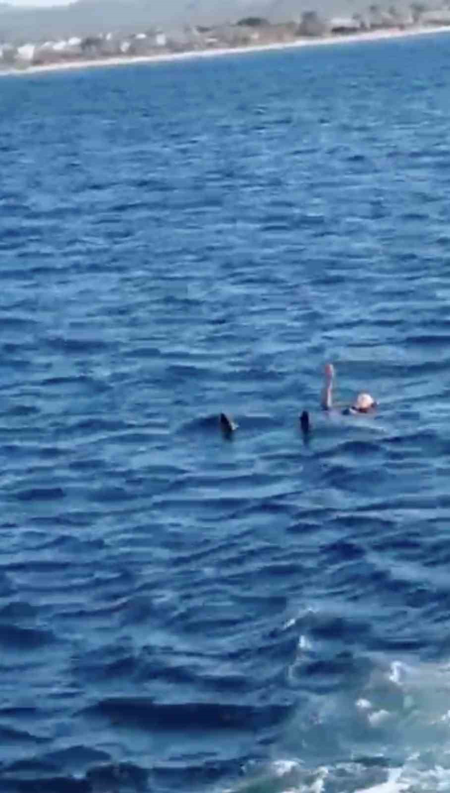 Feribottan atlayan kişiyi Gestaş personelleri ve balıkçılar kurtardı