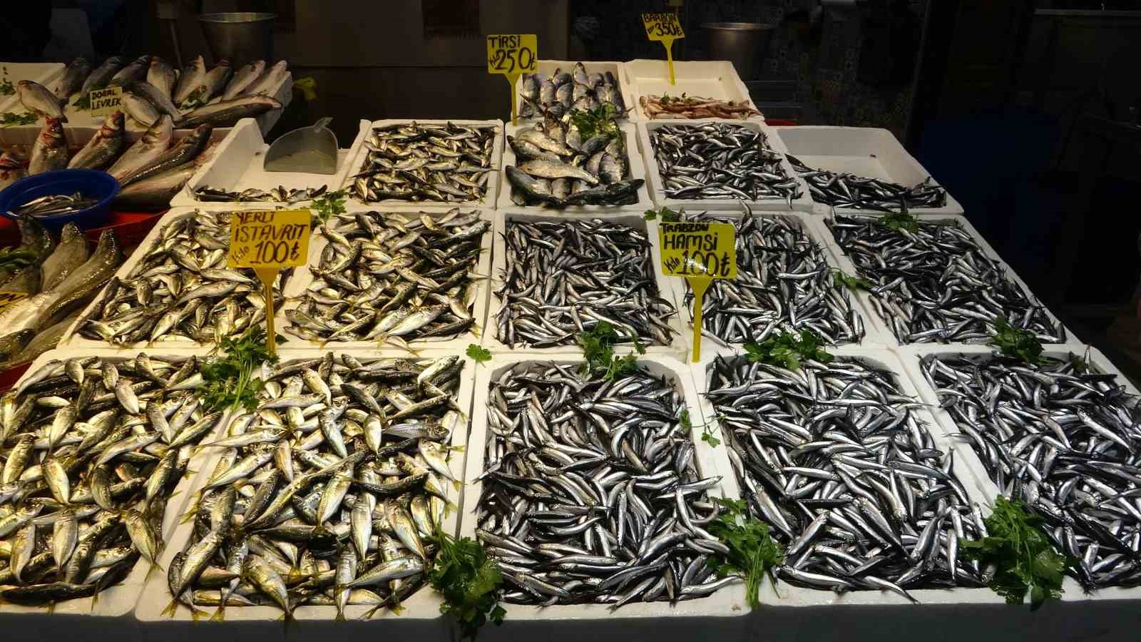 Karadeniz&rsquo;de hamsi bolluğu s&uuml;r&uuml;yor, mezgit ise birka&ccedil; g&uuml;nd&uuml;r g&ouml;r&uuml;nm&uuml;yor
