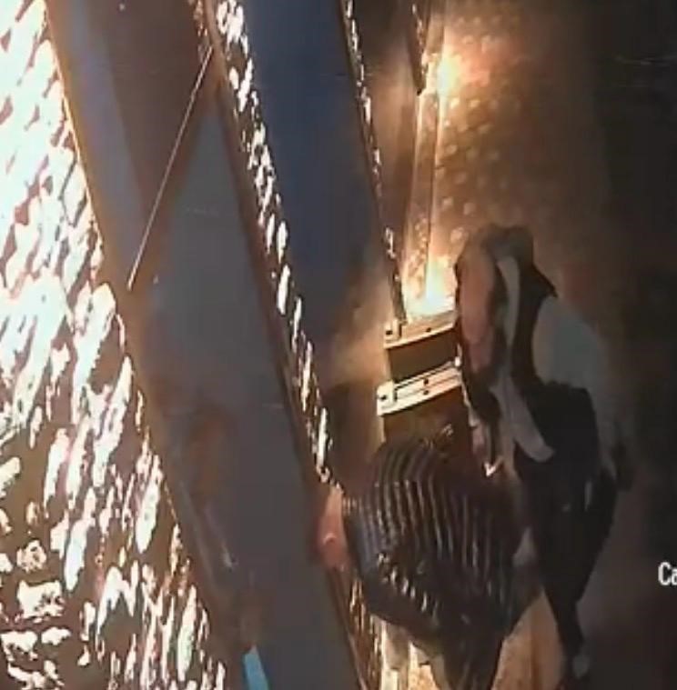 Kayseri’de esnaf, boğazına şeker kaçan bebeği heimlich manevrasıyla kurtardı... O anlar kamerada