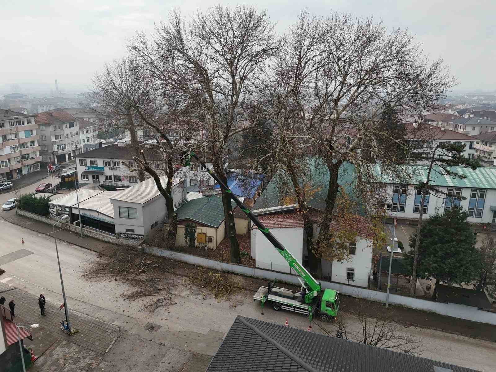 Düzce’de ağaçlara kış bakımı