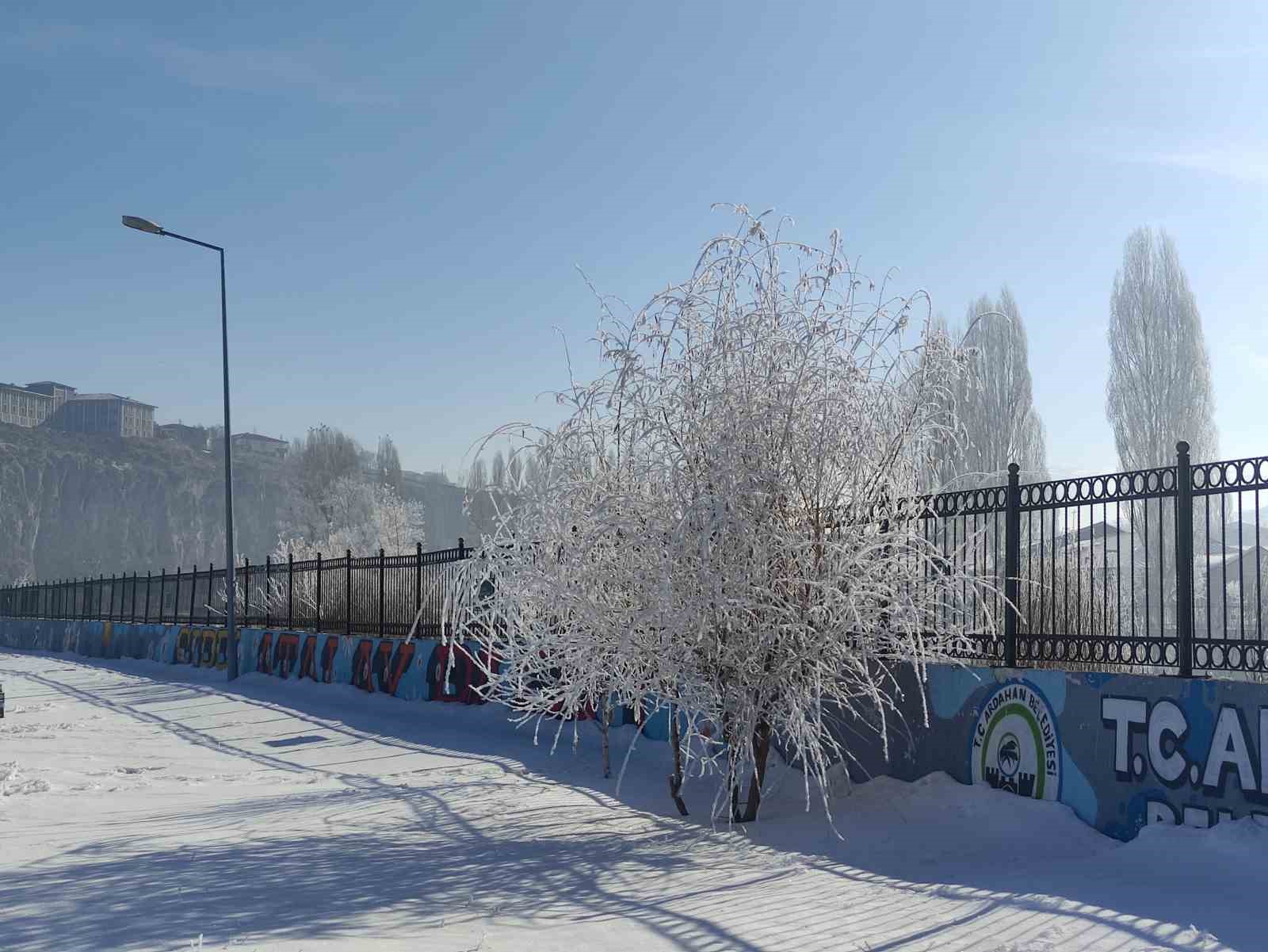 G&ouml;le eksi 16 dereceyi g&ouml;rd&uuml;, ağa&ccedil;lar kırağı tuttu
