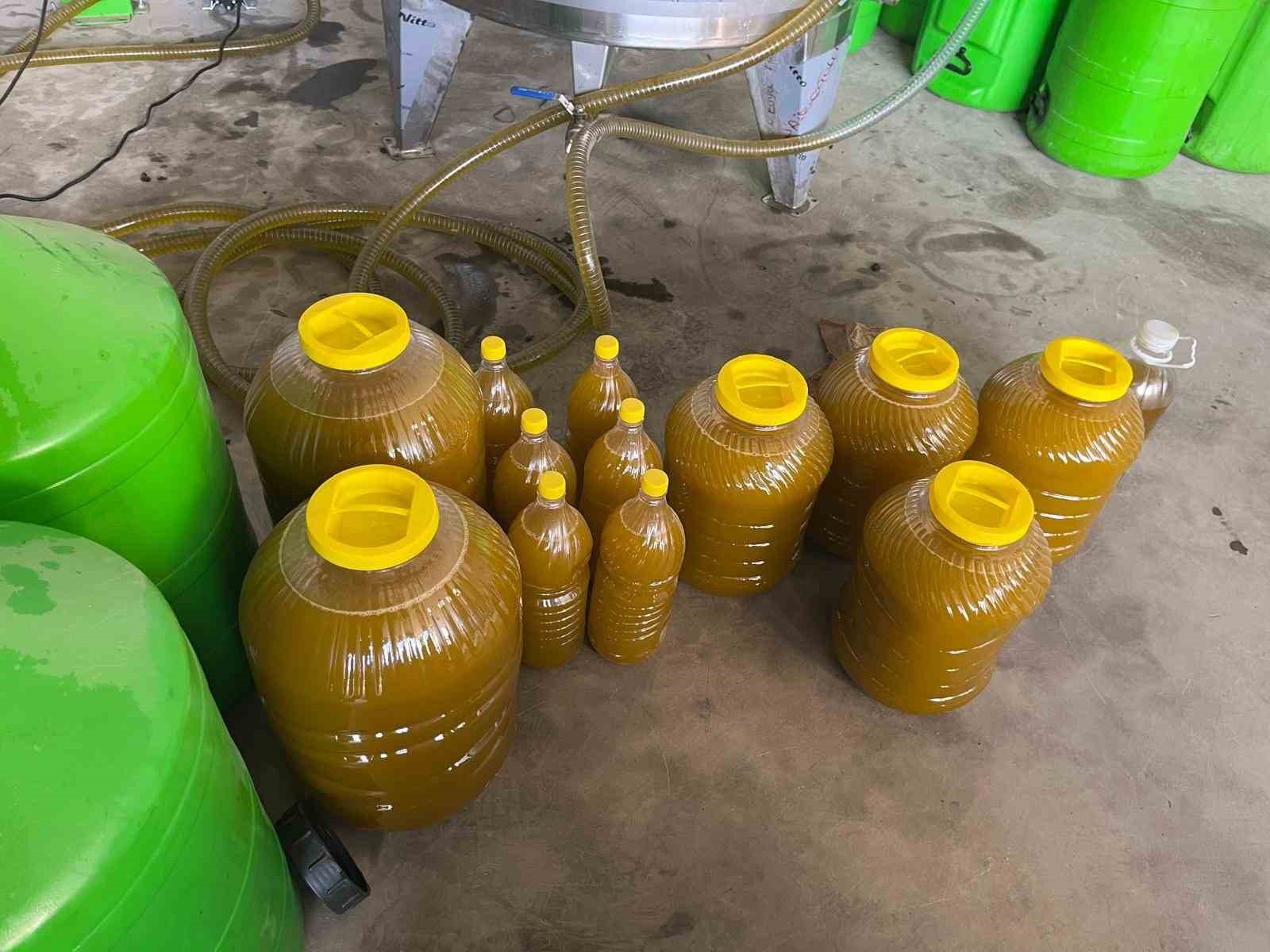 Kara meyve altın sıvıya d&ouml;n&uuml;ş&uuml;yor
