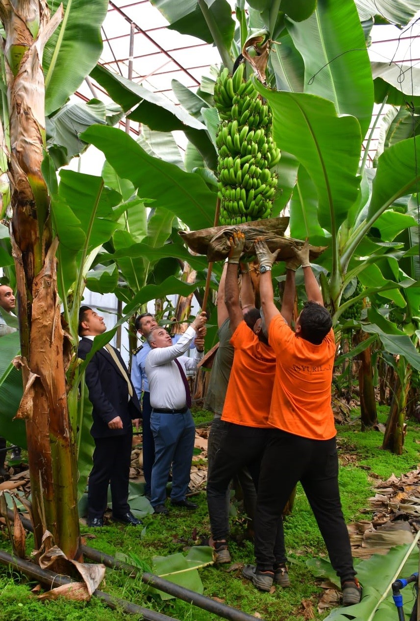 Anamur Ceza İnfaz Kurumlarında &uuml;retim, rehabilitasyon ve sosyal yaşam yerinde incelendi
