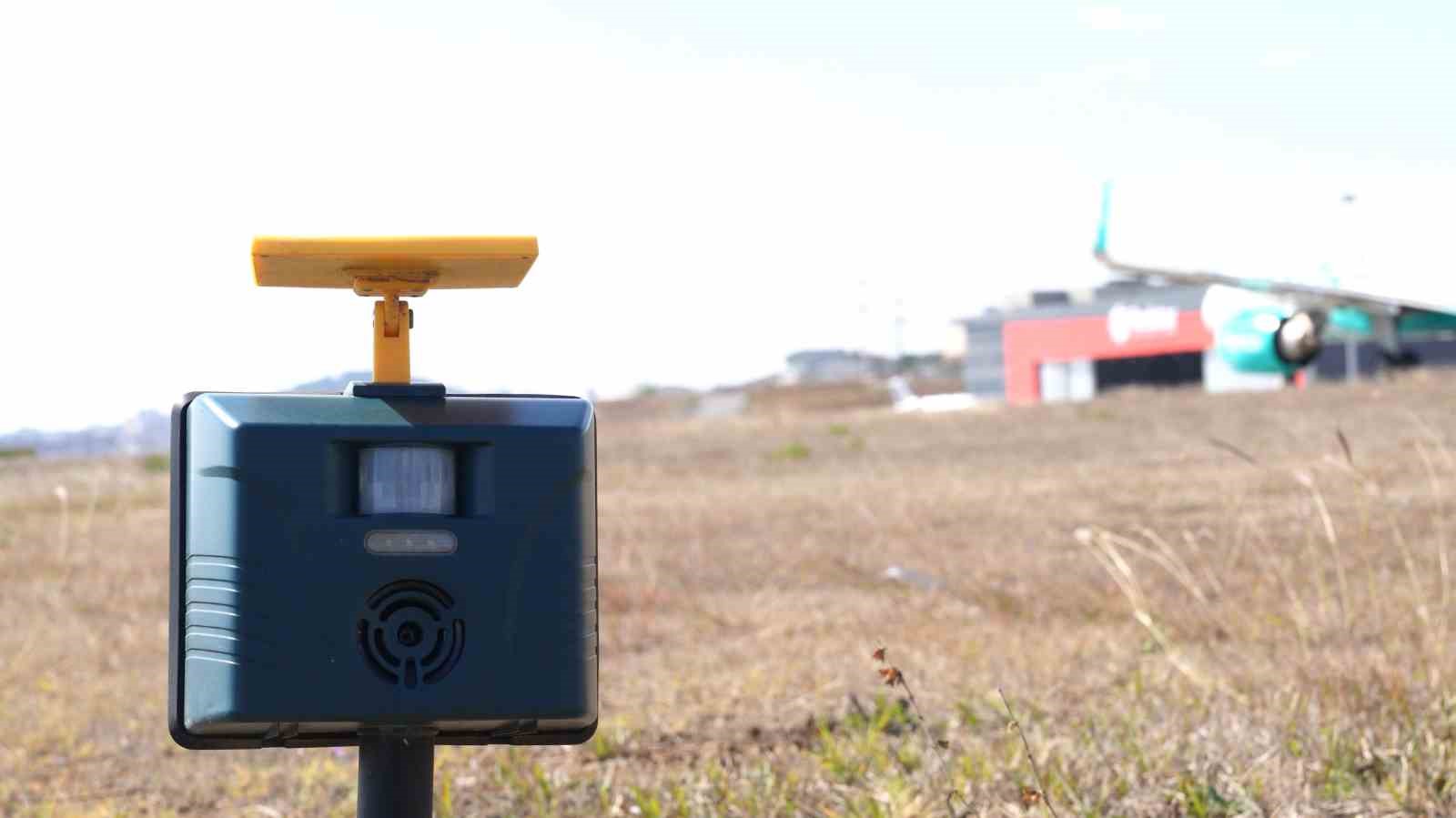 Sabiha Gökçen’de uçuş emniyeti için 7/24 yaban hayatla mücadele devam ediyor