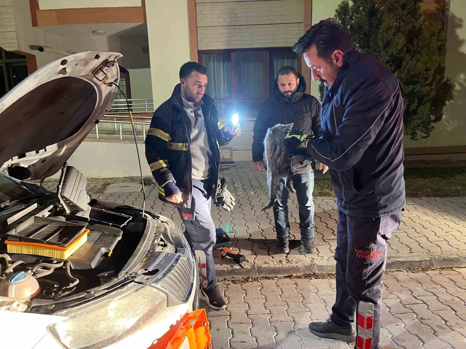 Erzincan&rsquo;da aracın motor b&ouml;lmesine sıkışan kediyi itfaiye ekipleri kurtardı
