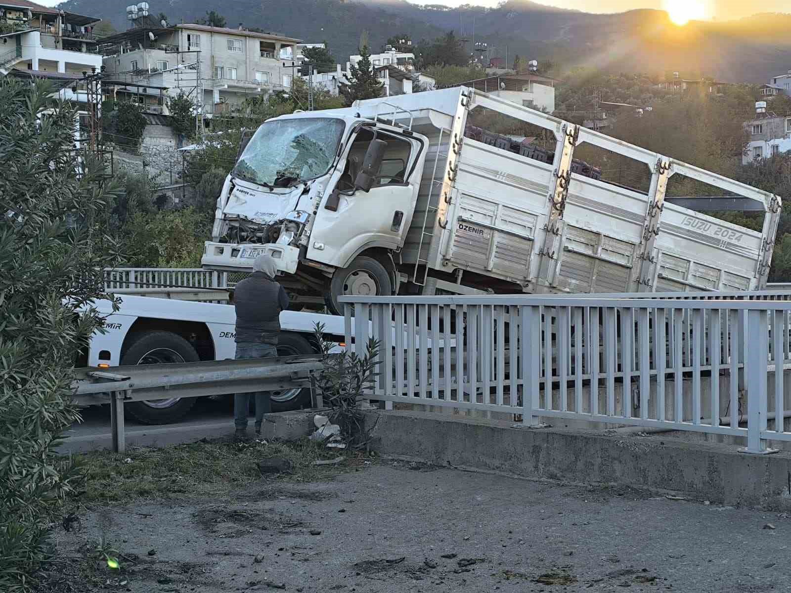 Kaza yaptıktan sonra alevlere teslim olan tırdaki 2 kişi öldü, taşınan anguslar otobana yayıldı