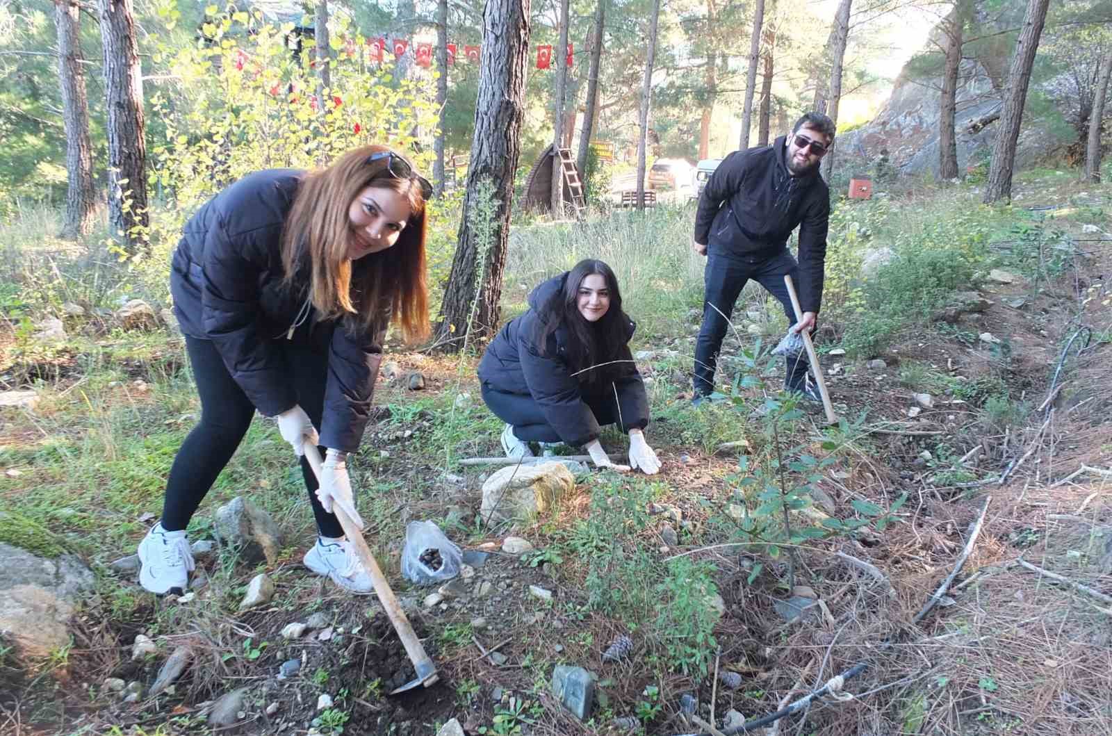 Kazdağlarında Bal Ormanına üniversiteli desteği