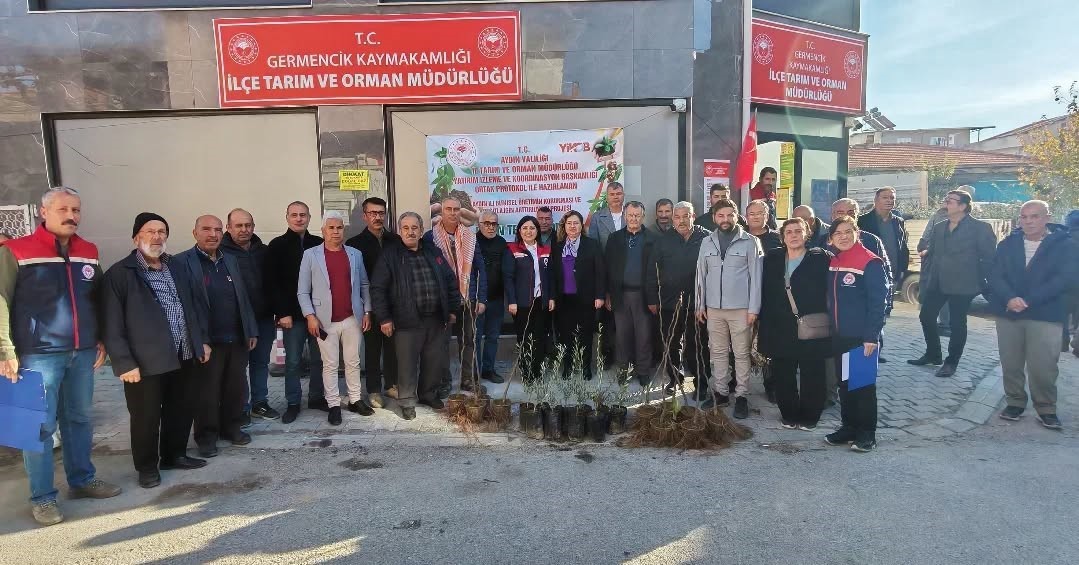 Germencik’te üreticiye 4 bin sertifikalı fidan desteği