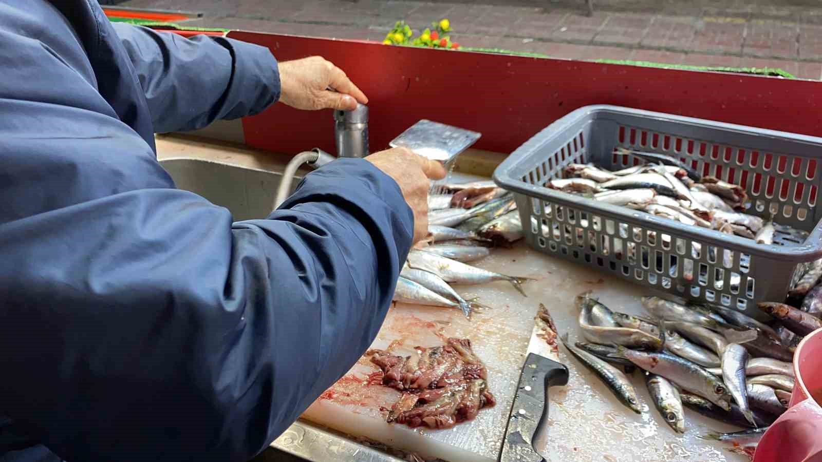 Doğru bilinen yanlışı uzmanı açıkladı: "Gözüne bakıp tazeliğini anlarım diyen yalan söyler"