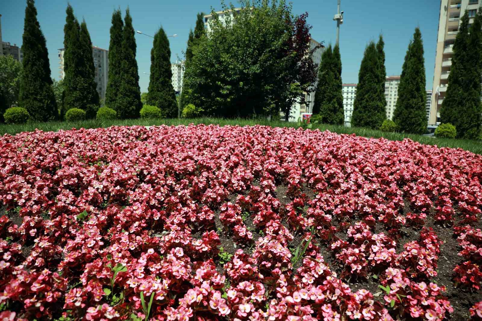 Talas 2026’da rengarenk olacak