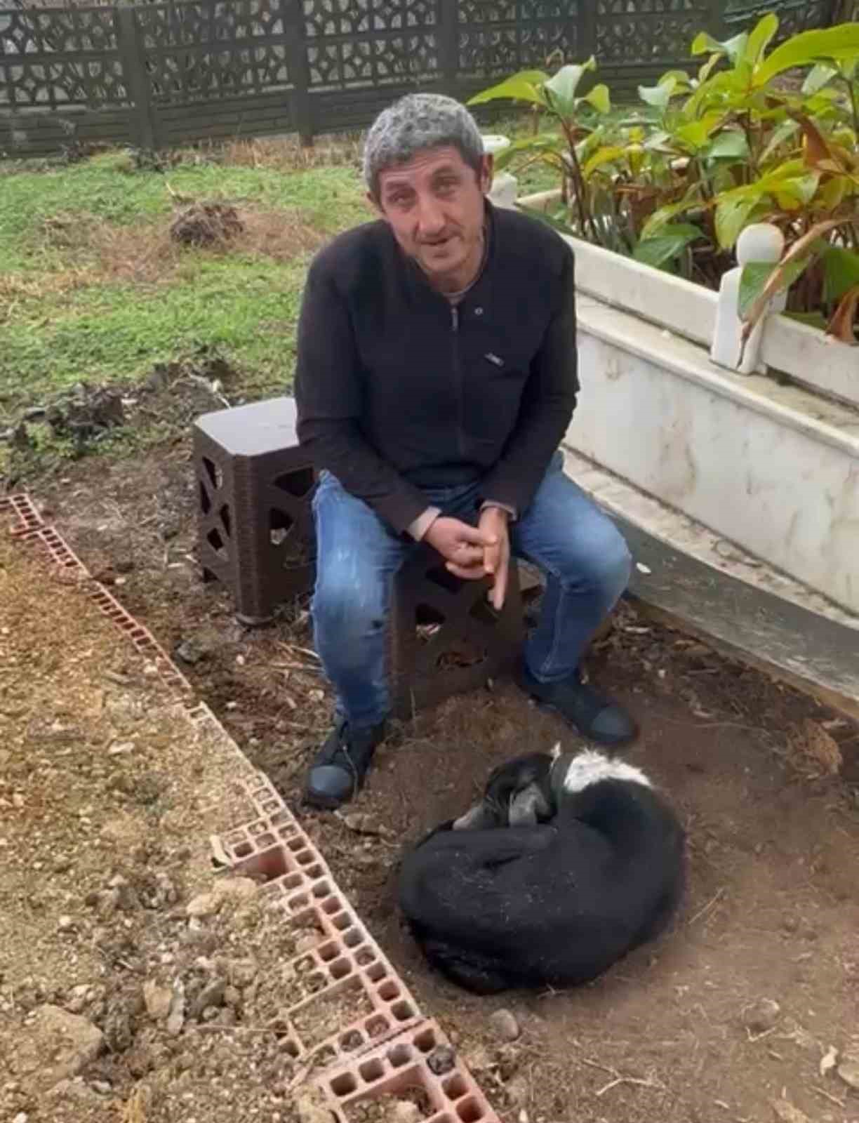 Köpeğin vefası: Sahibinin mezarından ayrılmayan köpek duygulandırdı