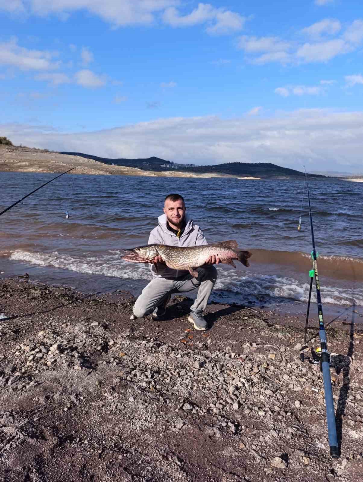 Sındırgı’da dev sazan balığı yakalandı