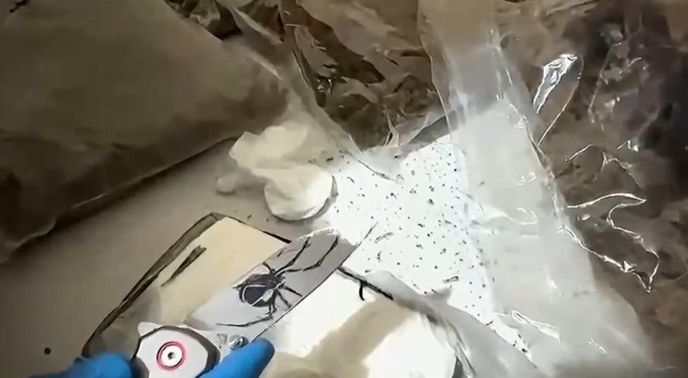 Antalya&rsquo;da narkotik operasyonunda y&uuml;kl&uuml; miktarda uyuşturucu ele ge&ccedil;irildi: 4 tutuklama
