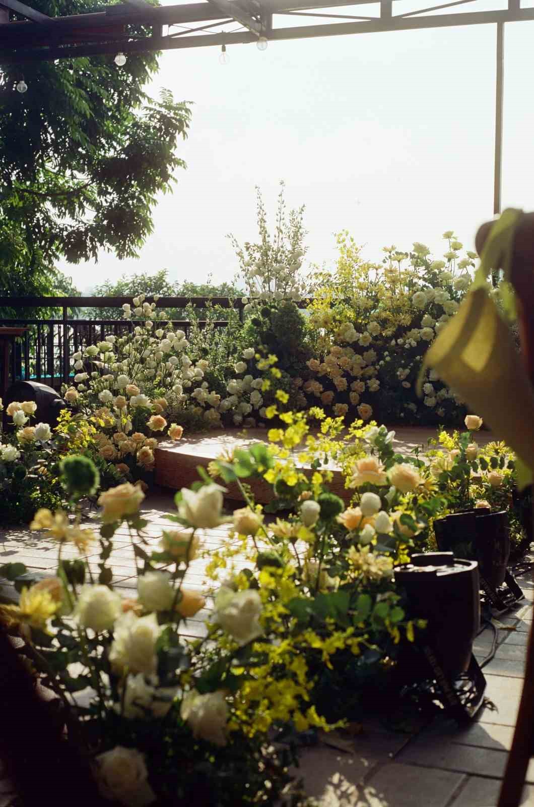 Talas 2026’da rengarenk olacak