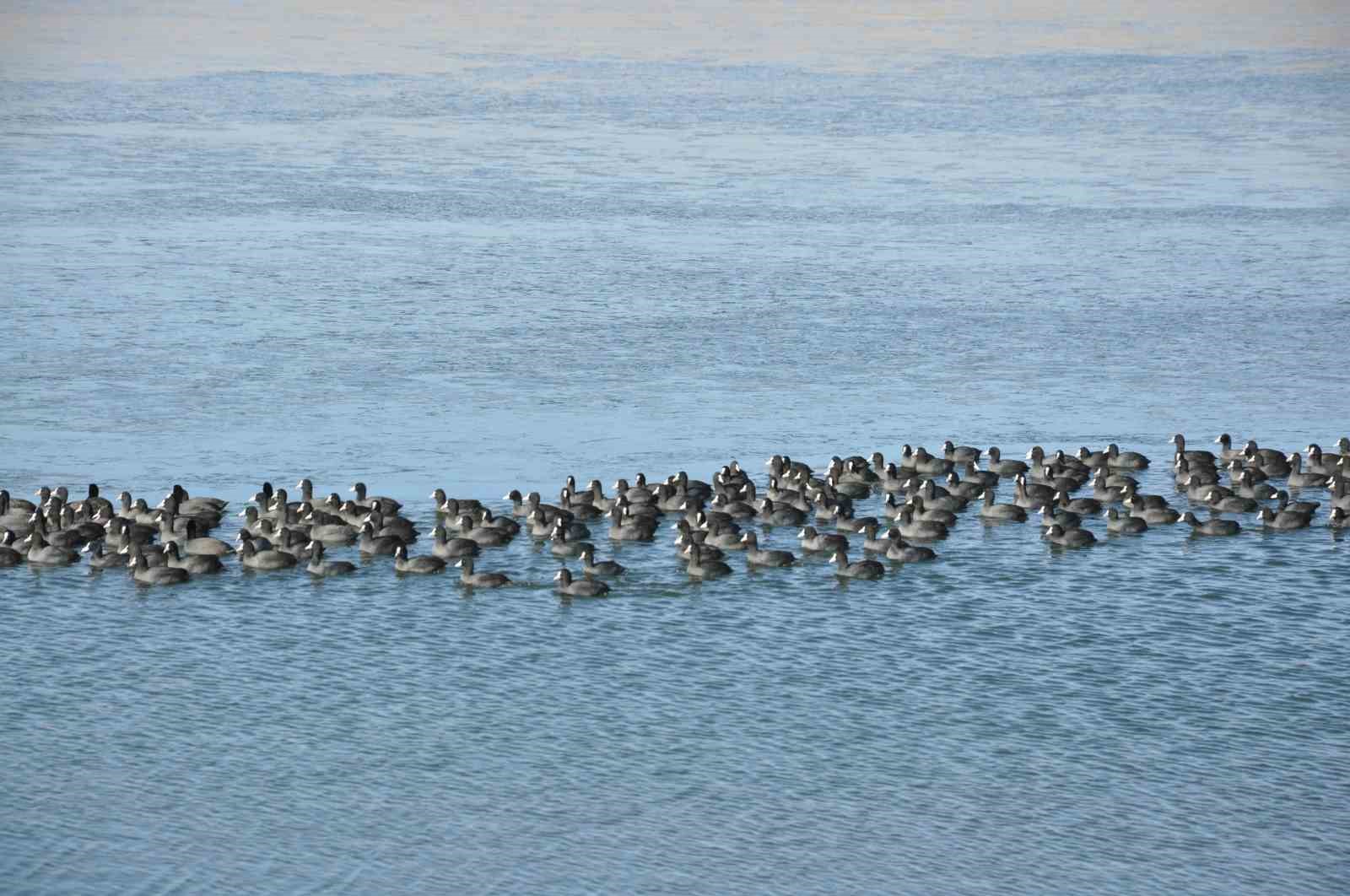 Kars&rsquo;ın "Yerli Penguenleri" g&ouml;rev başında
