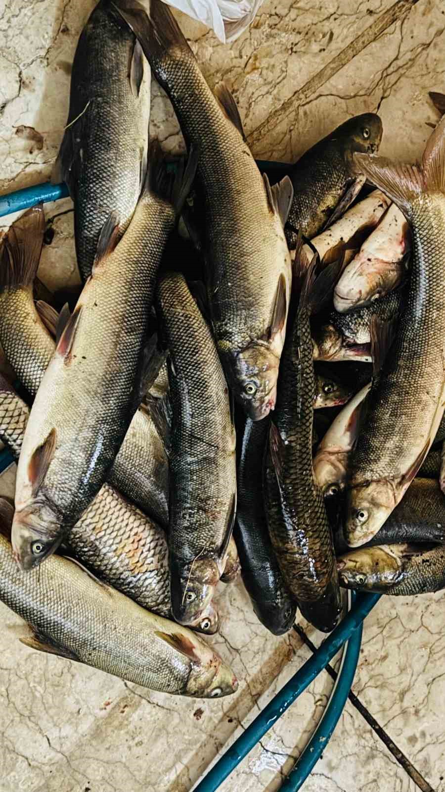 İki &uuml;lke sınırında balık avı
