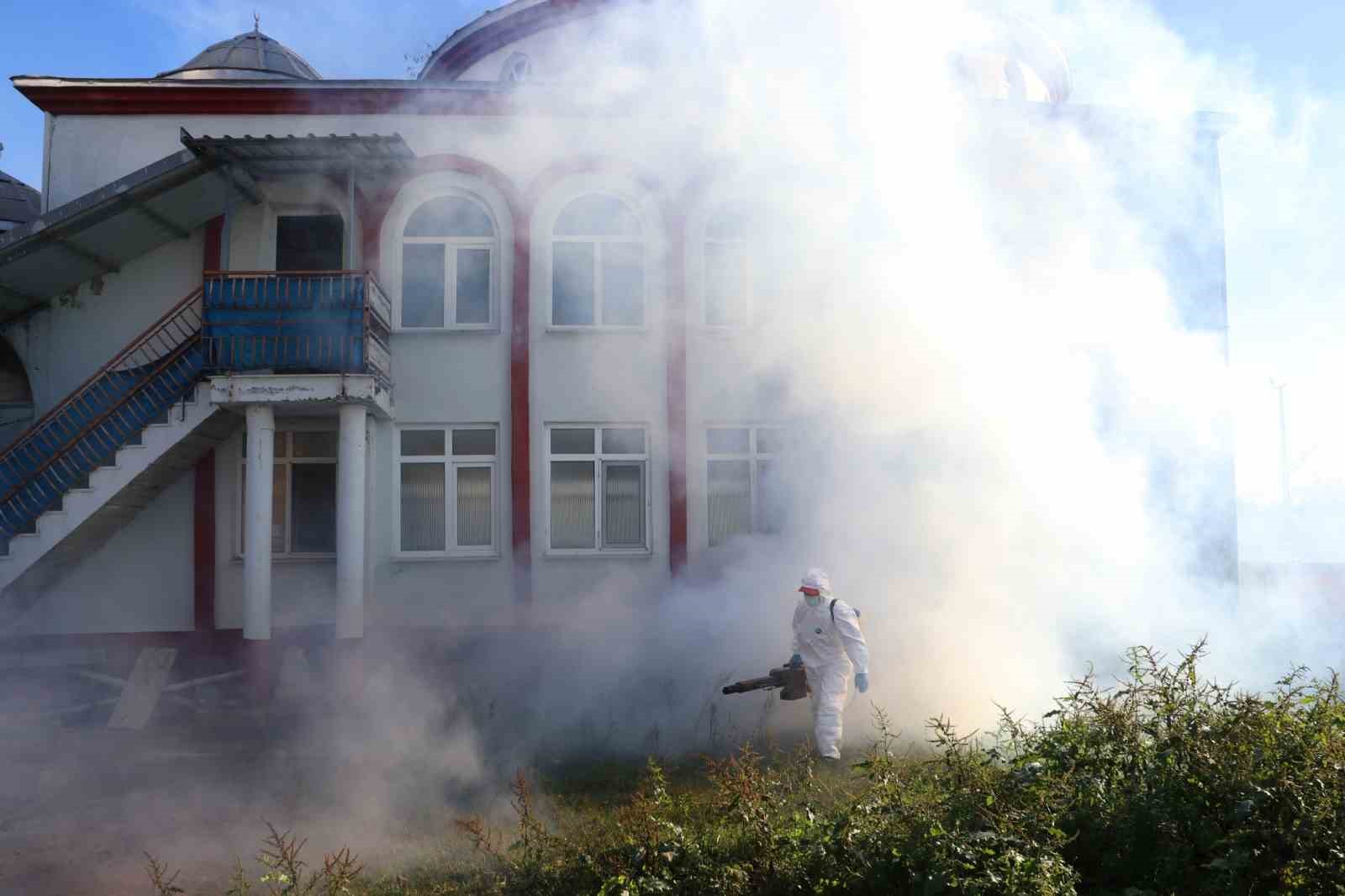 Kahverengi kokarca kışlak mücadelesi sürüyor