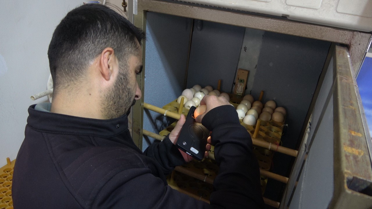 Elektrik m&uuml;hendisi atık malzemelerden kulu&ccedil;ka makinesi yaptı
