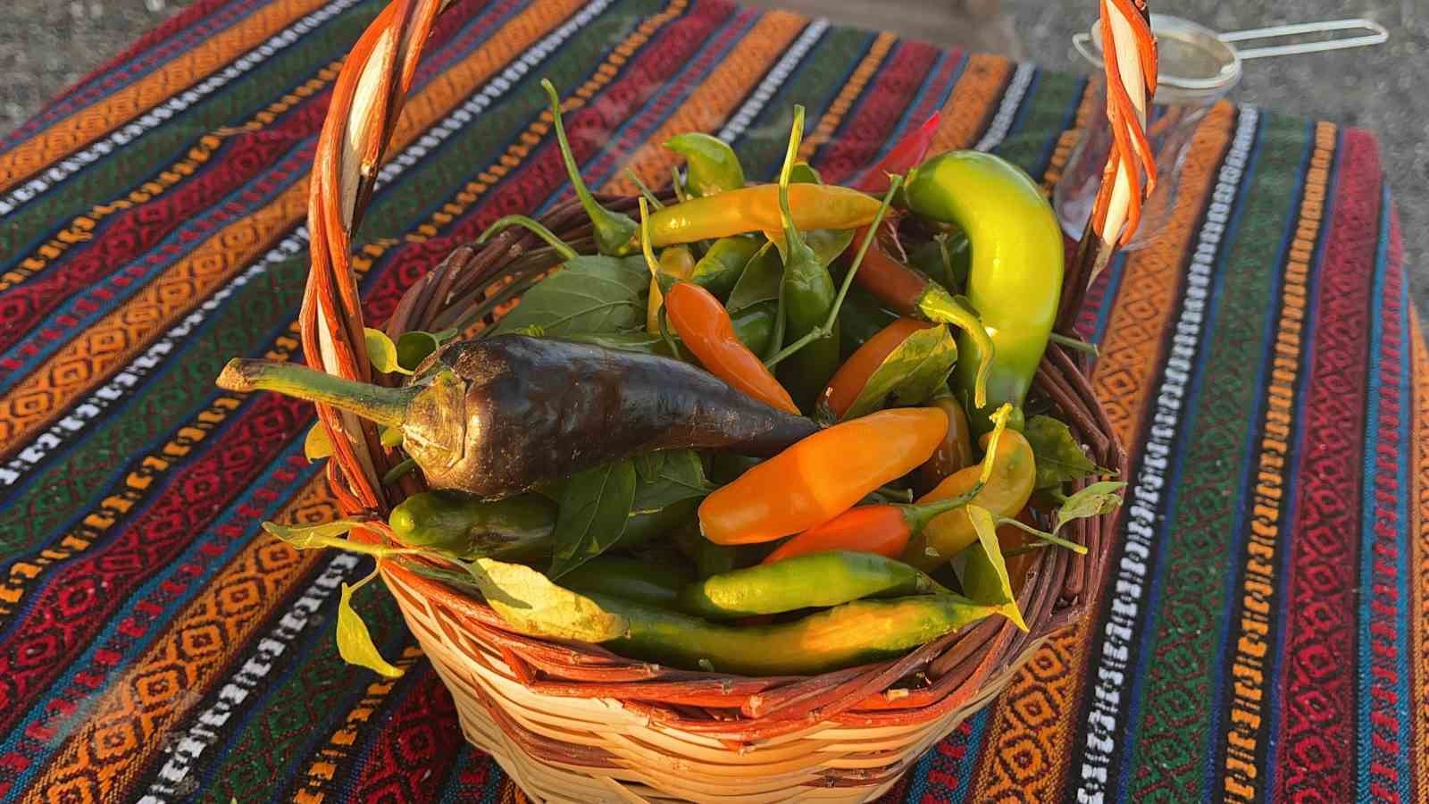 Osmaniye&rsquo;de depremi yaşadı, toprağa tutundu
