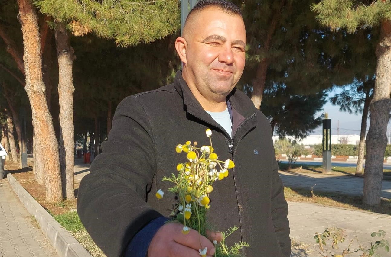 Sarıgöl’de zemheri papatyaları açtı