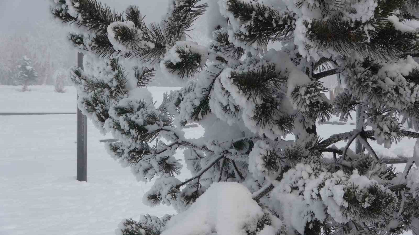 Ardahan’da dondurucu soğuklar etkisini artırdı: Ağaçlar kırağı tuttu