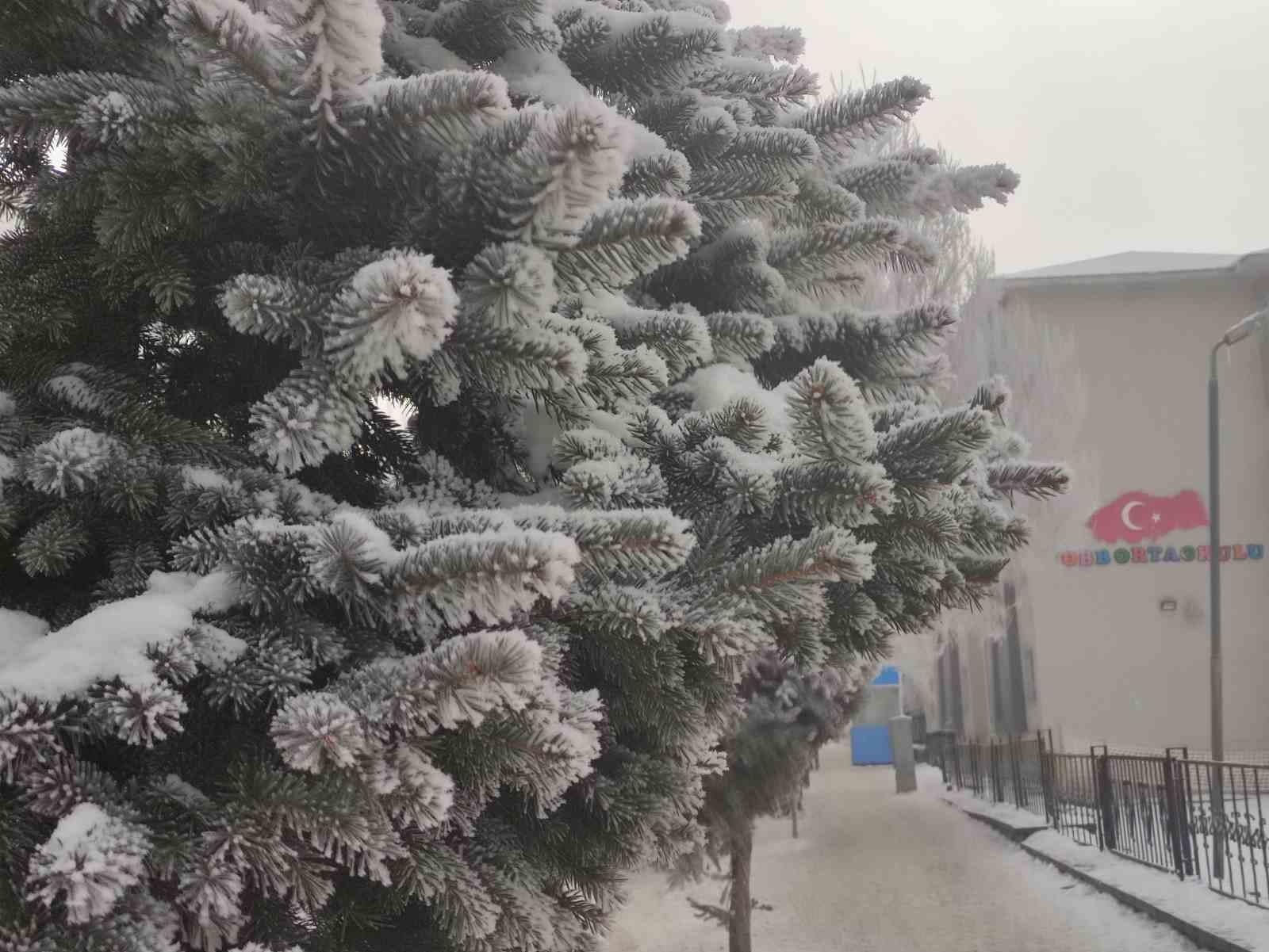 Ardahan&rsquo;da dondurucu soğuklar etkisini artırdı: Ağa&ccedil;lar kırağı tuttu
