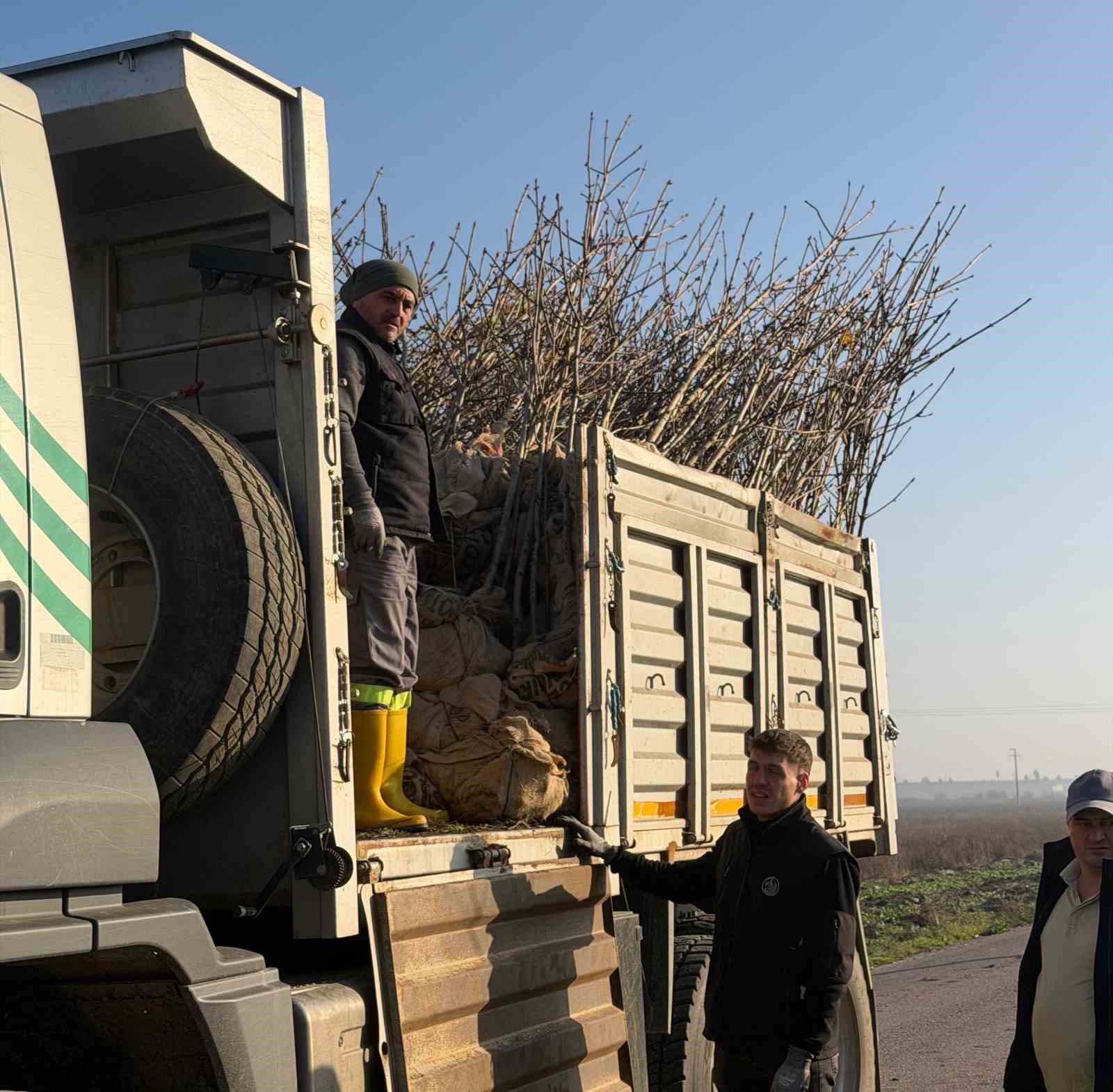 Bandırma’nın 55’inci kırsal mahallesinde 350 ağaç toprakla buluştu