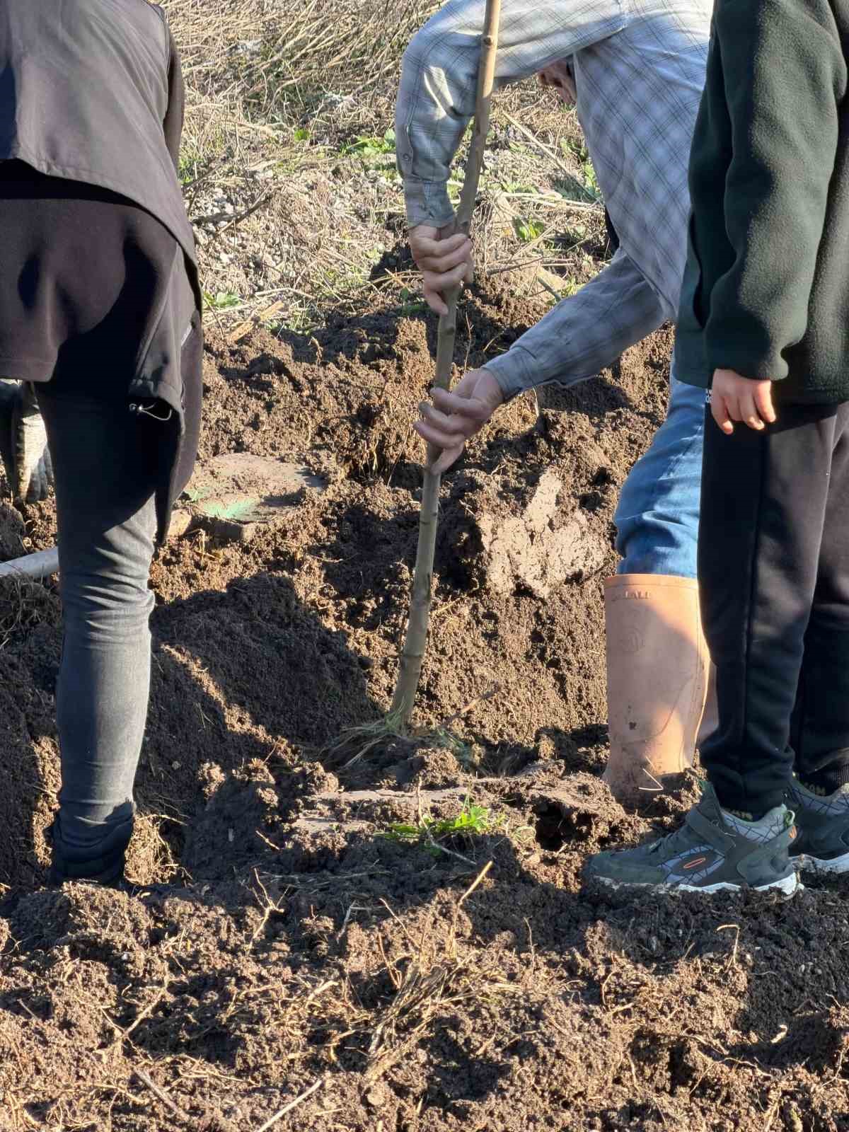 Bandırma&rsquo;nın 55&rsquo;inci kırsal mahallesinde 350 ağa&ccedil; toprakla buluştu
