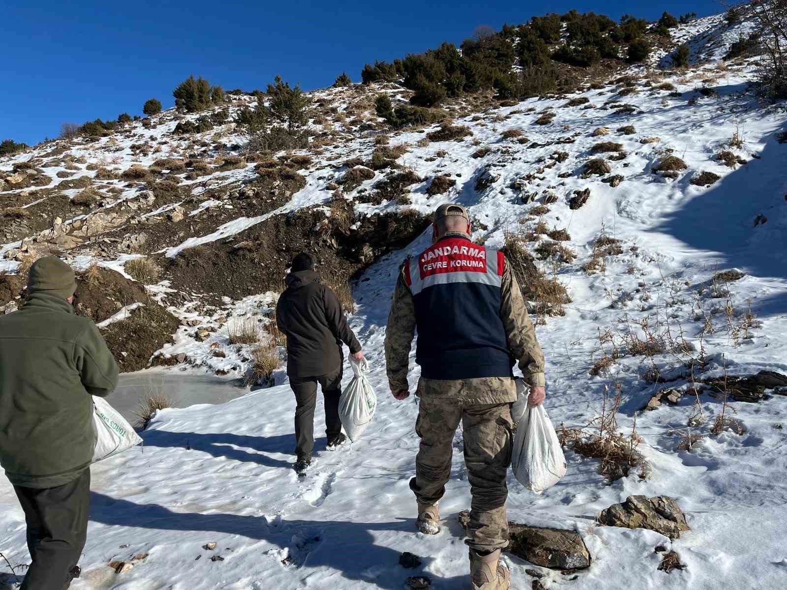 Siirt’te yaban hayvanlarına 750 kilo yem bırakıldı