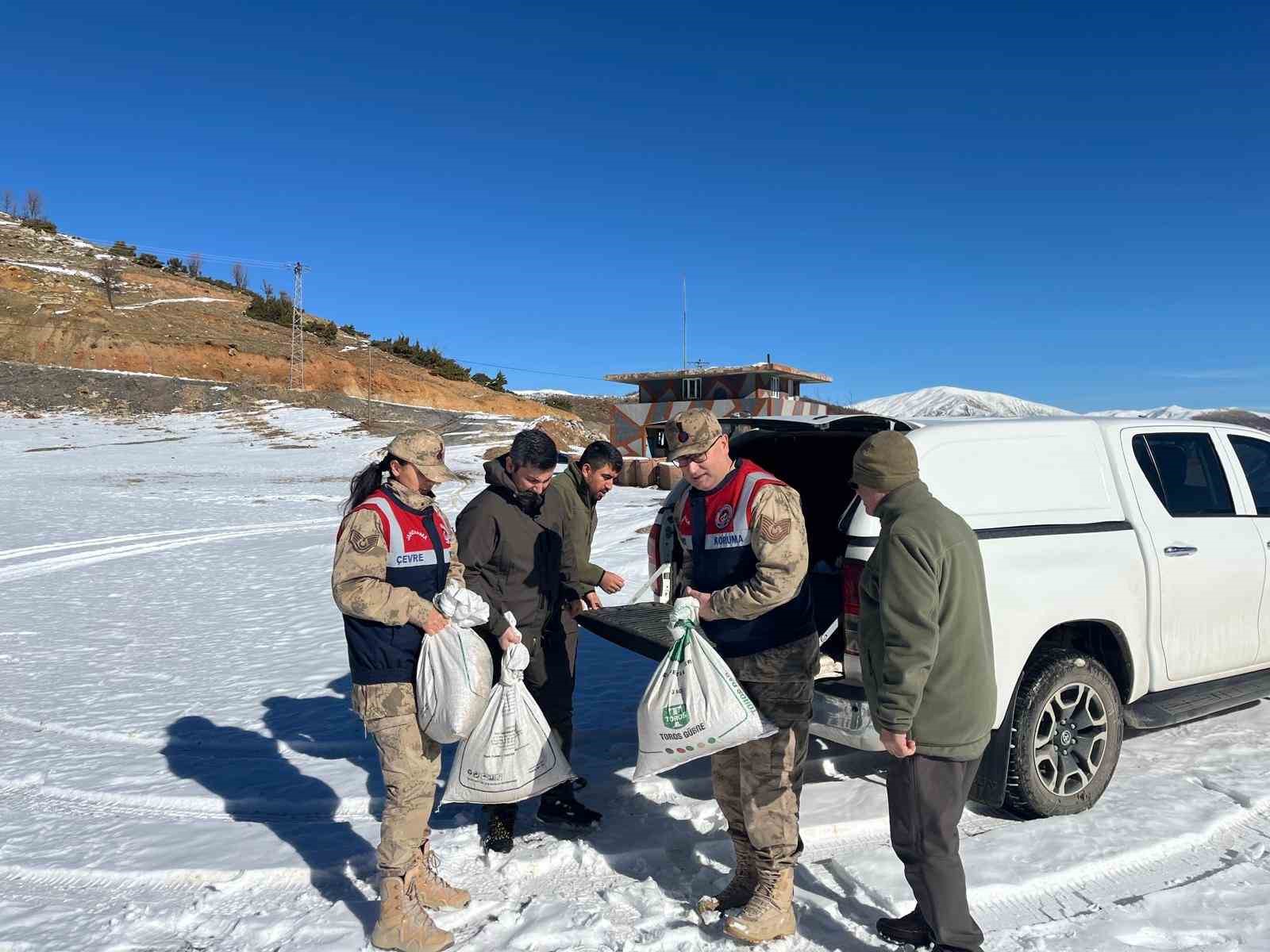 Siirt&rsquo;te yaban hayvanlarına 750 kilo yem bırakıldı
