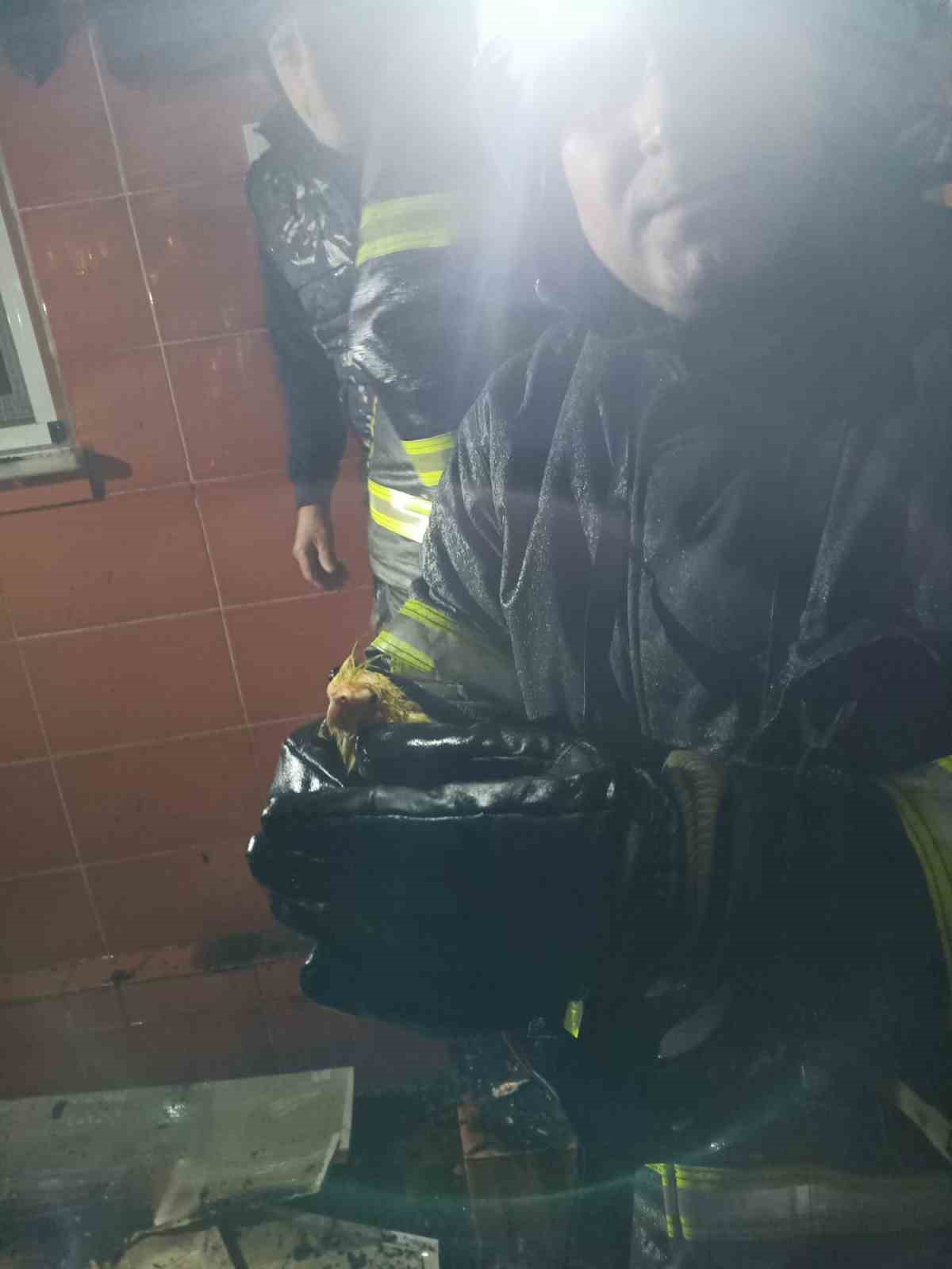 Zonguldak&rsquo;ta alevler geceyi aydınlattı, itfaiye papağanı yangın ortasından kurtardı
