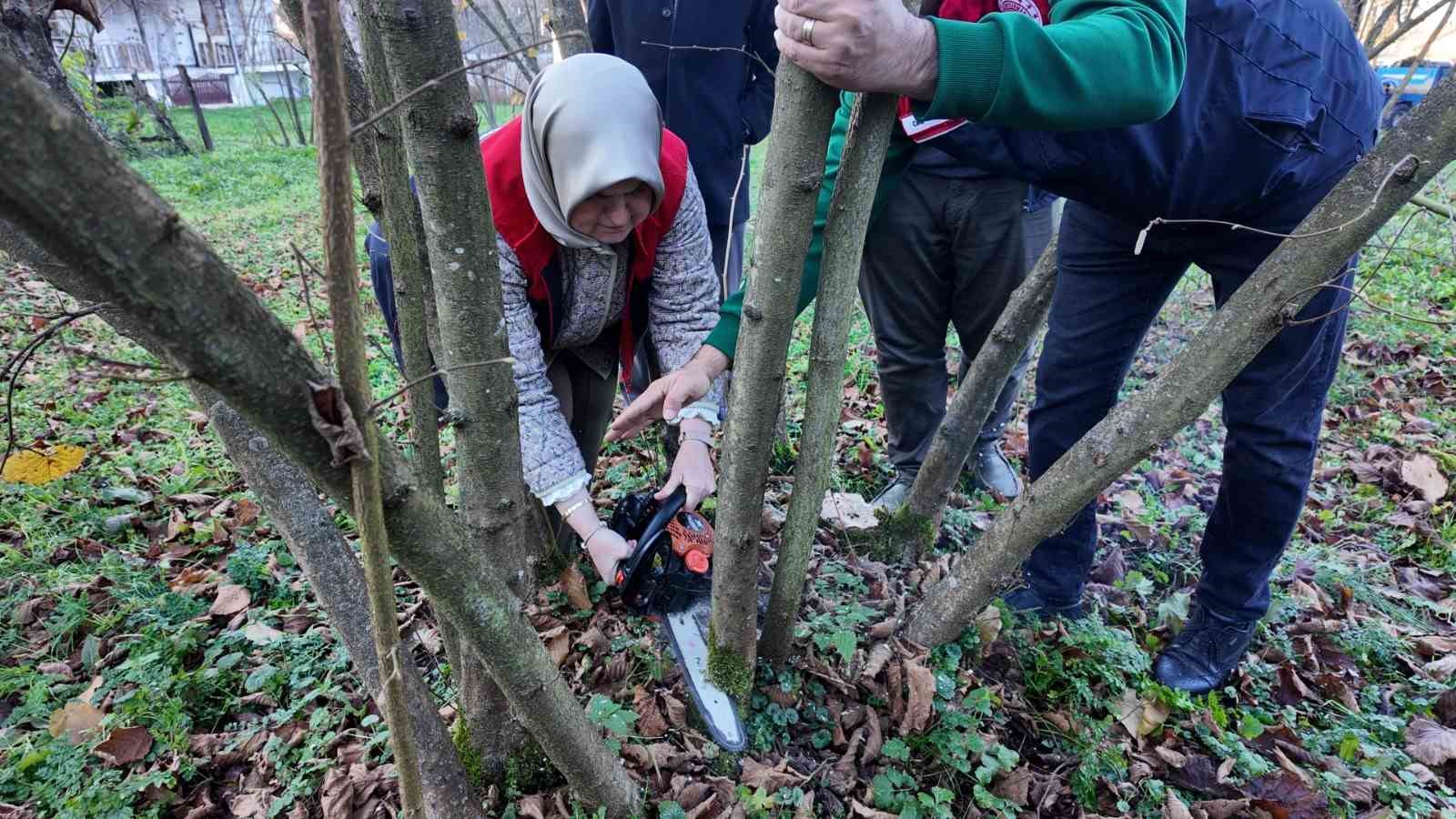 Fındıkta verim ve kalite artırılıyor
