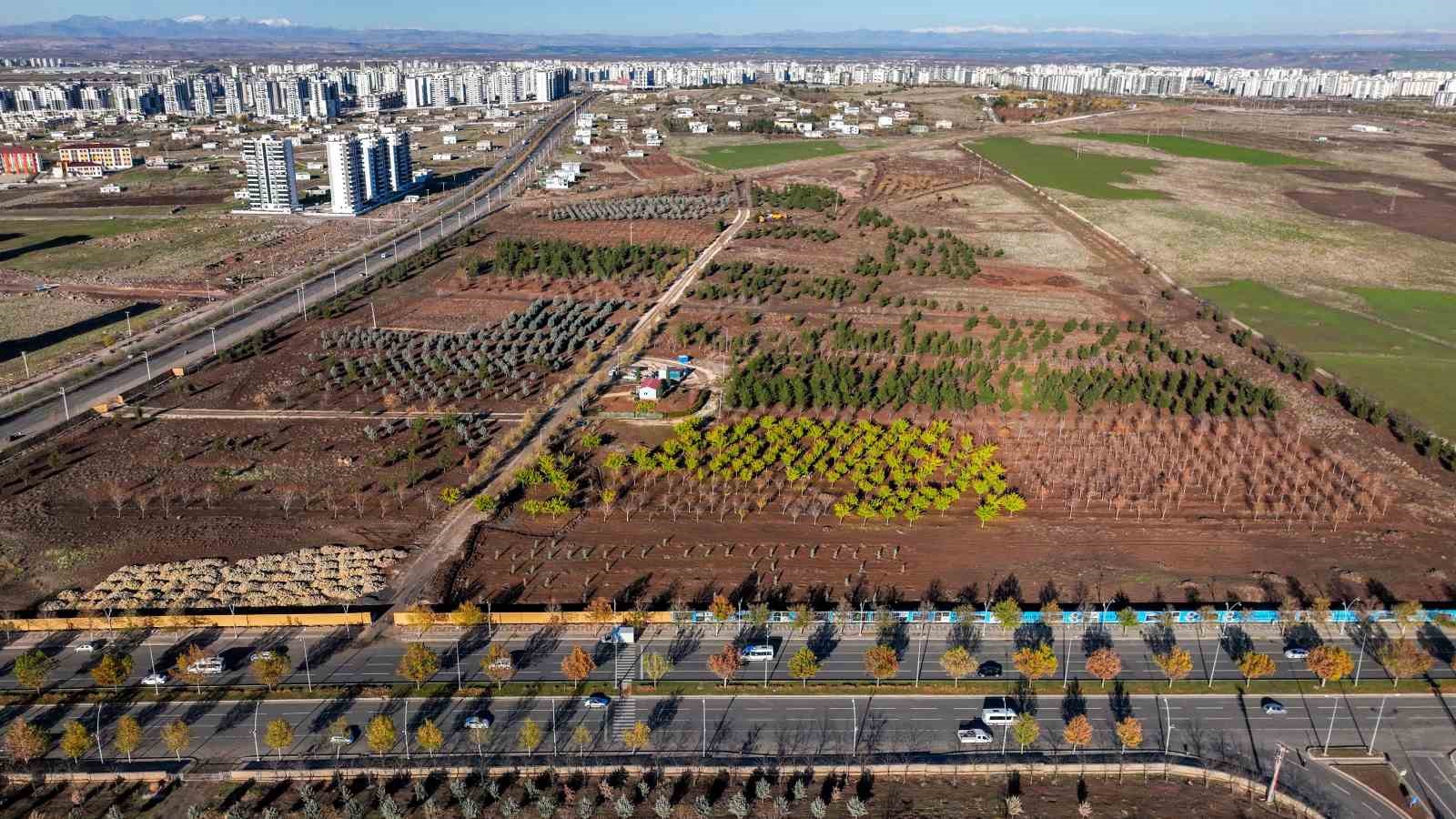 Diyarbakır&rsquo;a nefes aldıracak Naturapark&rsquo;ta altyapı &ccedil;alışmaları başladı
