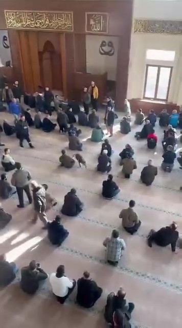 Camiye giren pitbull tedirginliğe neden oldu
