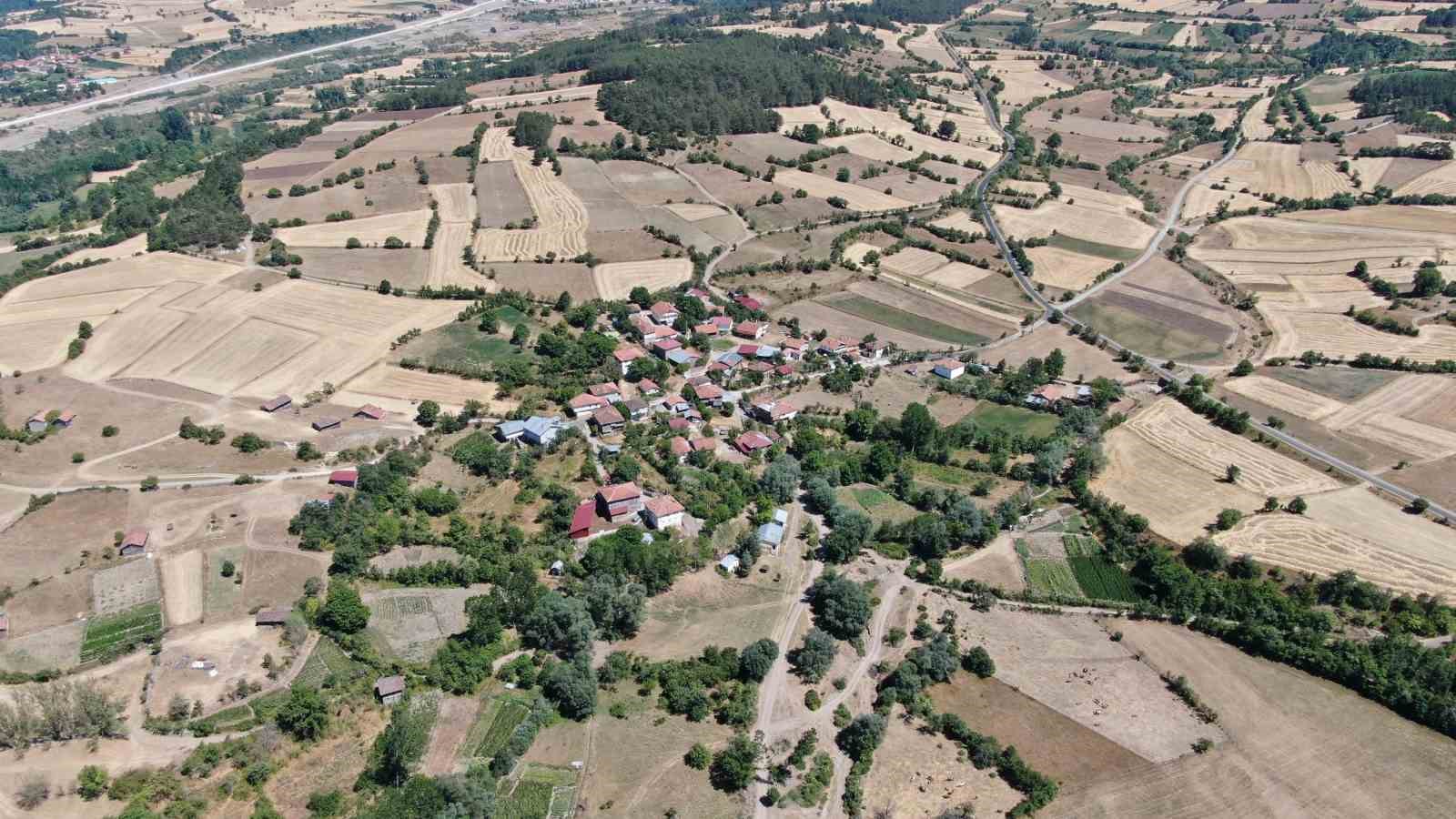 Emekli polis, ahşap hat sanatıyla evini adeta müzeye çevirdi