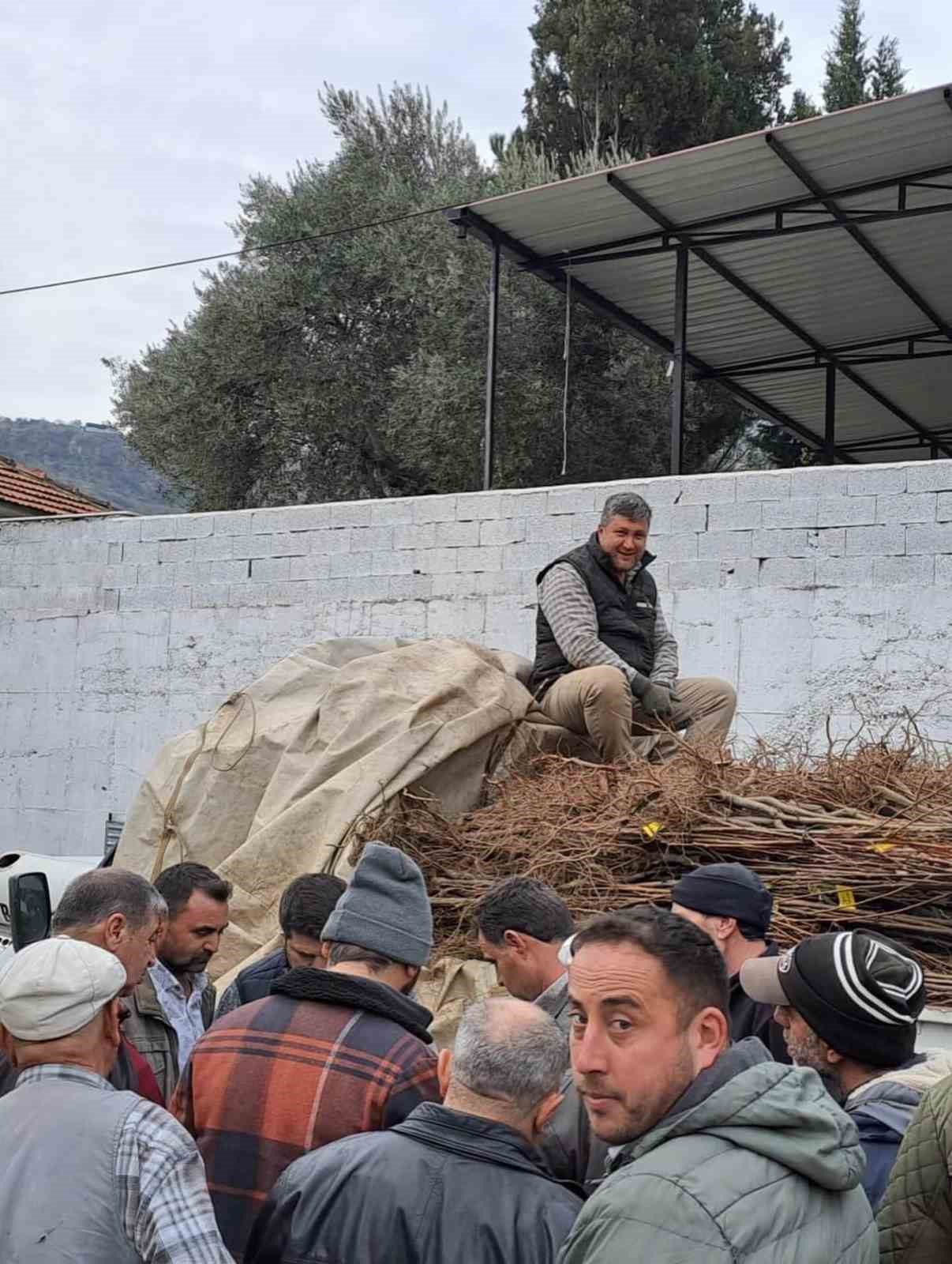 K&ouml;şk&rsquo;te k&ouml;kl&uuml; kestane fidanları &uuml;reticilere dağıtıldı
