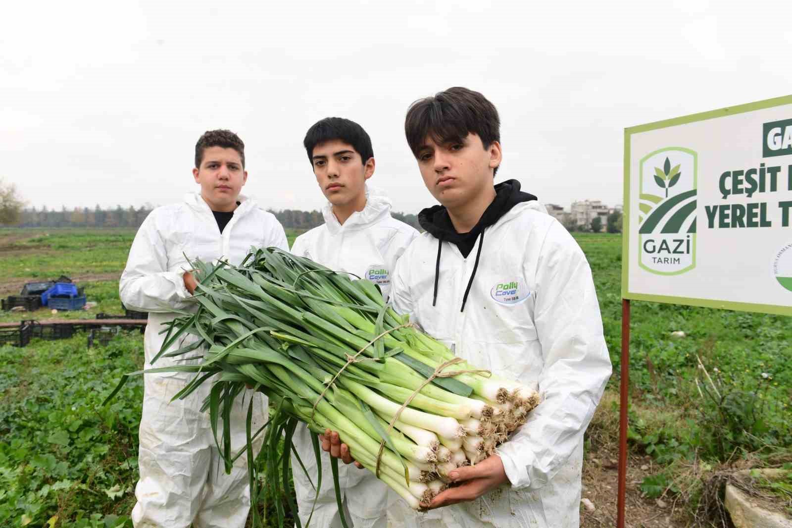 Osmangazi’de pırasa hasadıyla doğallık sofralara taşınıyor