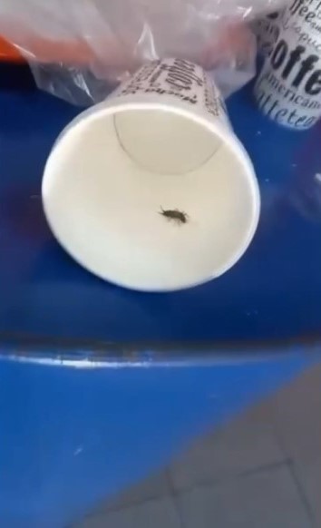 Isparta&rsquo;da &lsquo;i&ccedil;erisinde haşereler g&ouml;r&uuml;ld&uuml;ğ&uuml;&rsquo; iddia edilen d&ouml;ner salonu m&uuml;h&uuml;rlendi
