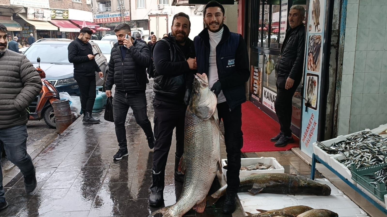 Batman’da dev turna balığı ilgi odağı oldu
