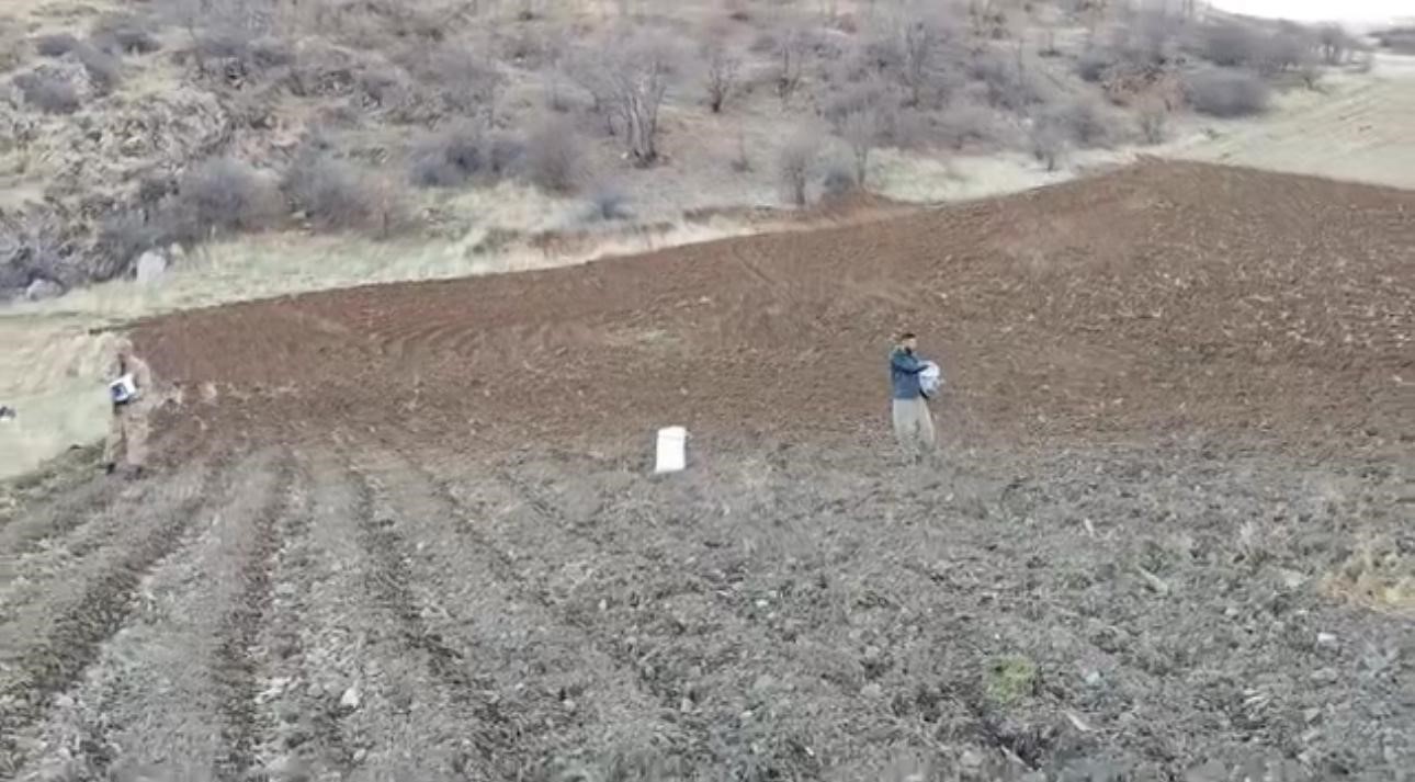 Arpalar kar yağmadan toprakla buluşuyor