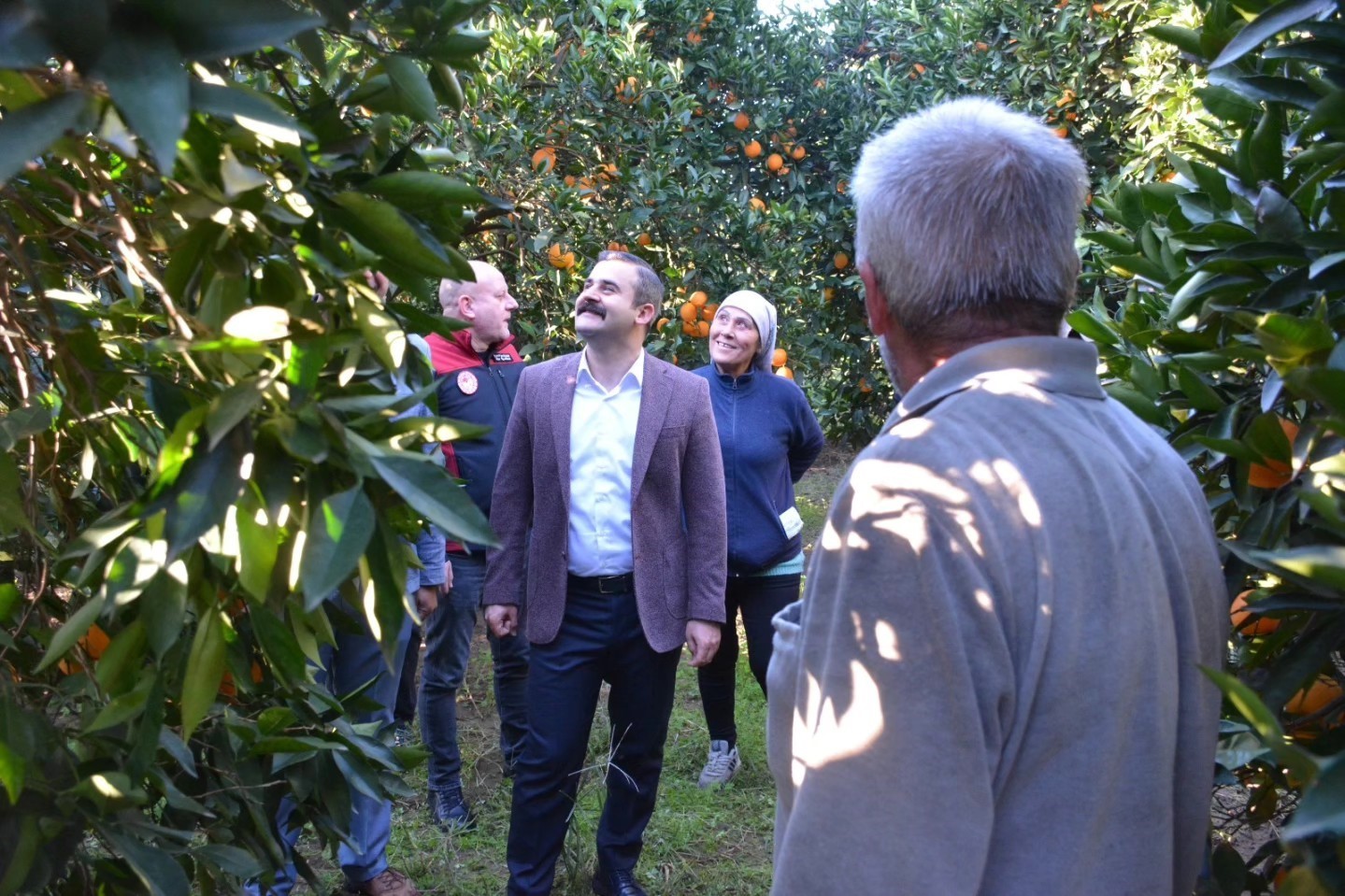 Kaymakam Kumcu, &rsquo;K&ouml;yceğiz Portakalı&rsquo; hasadına katıldı
