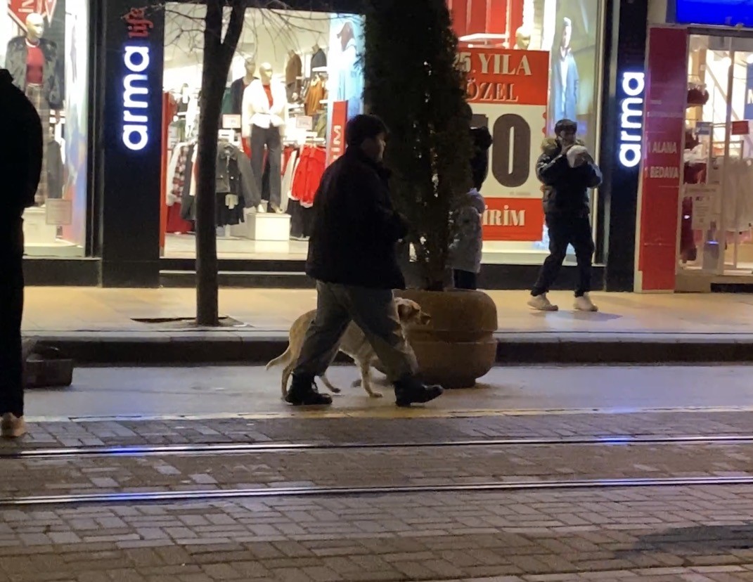 Evcil hayvanıyla y&uuml;r&uuml;rken sokak k&ouml;peklerinin arasında kaldı
