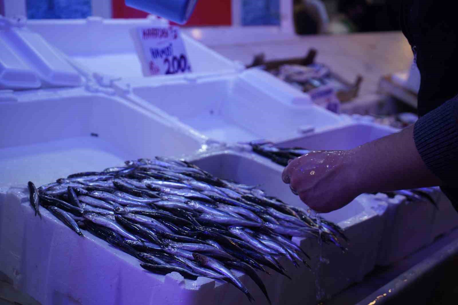 Hamsi zirvedeki yerini istavrite bıraktı