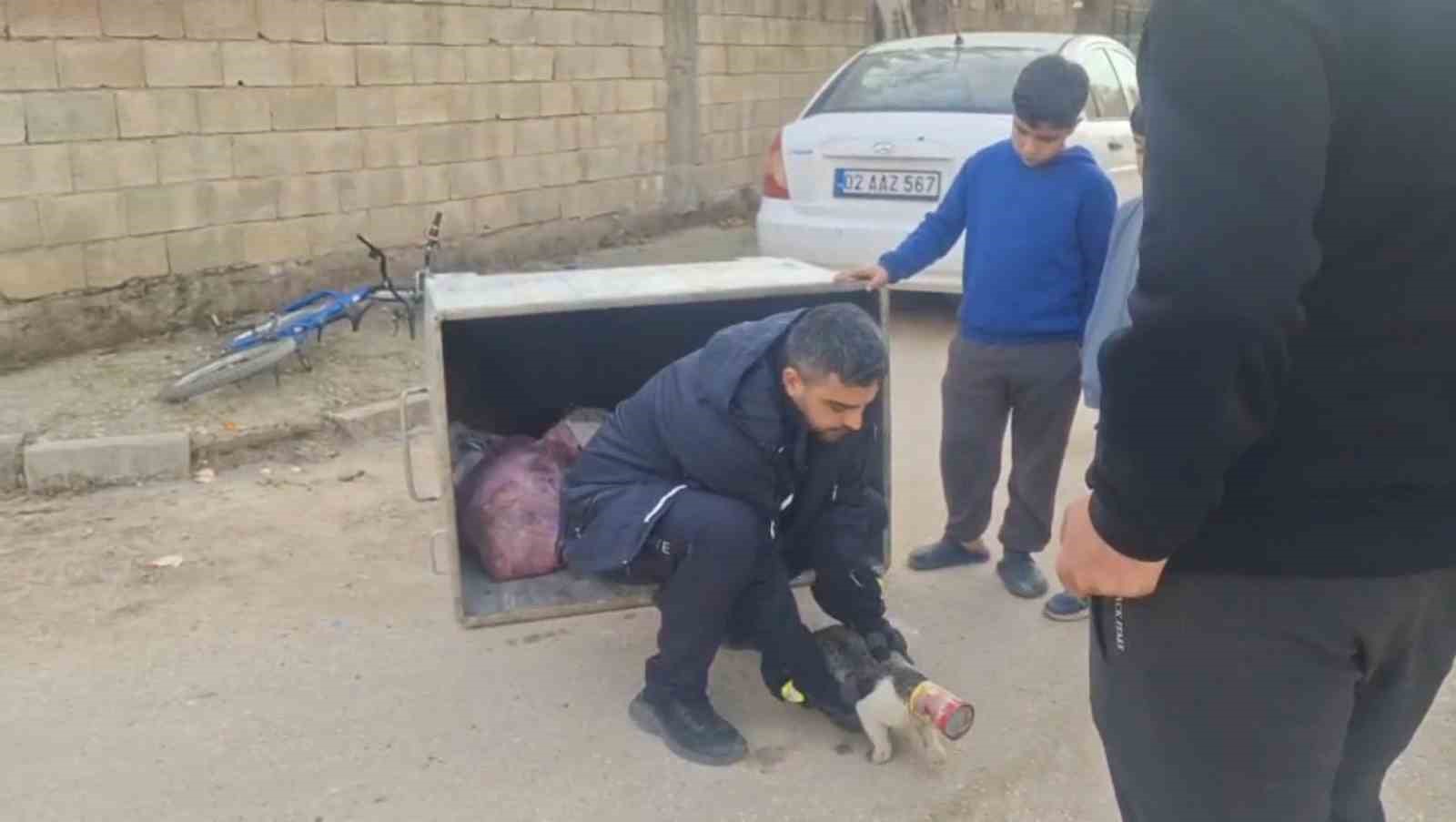 Konserve kutusuna sıkışan kedi kurtarıldı
