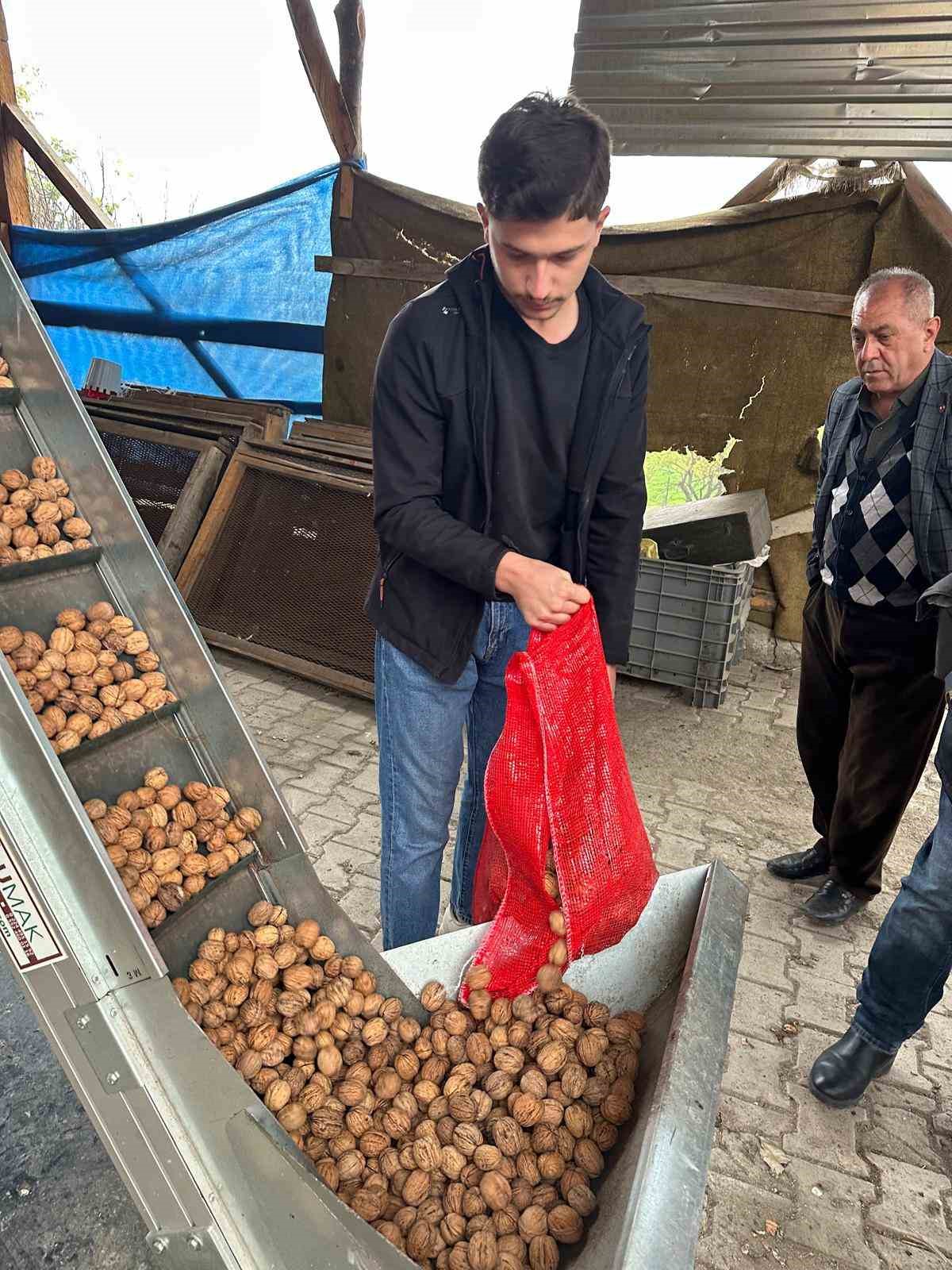 Cevizle yaşam şartları değişen k&ouml;yde İstanbullular da bah&ccedil;e kuruyor
